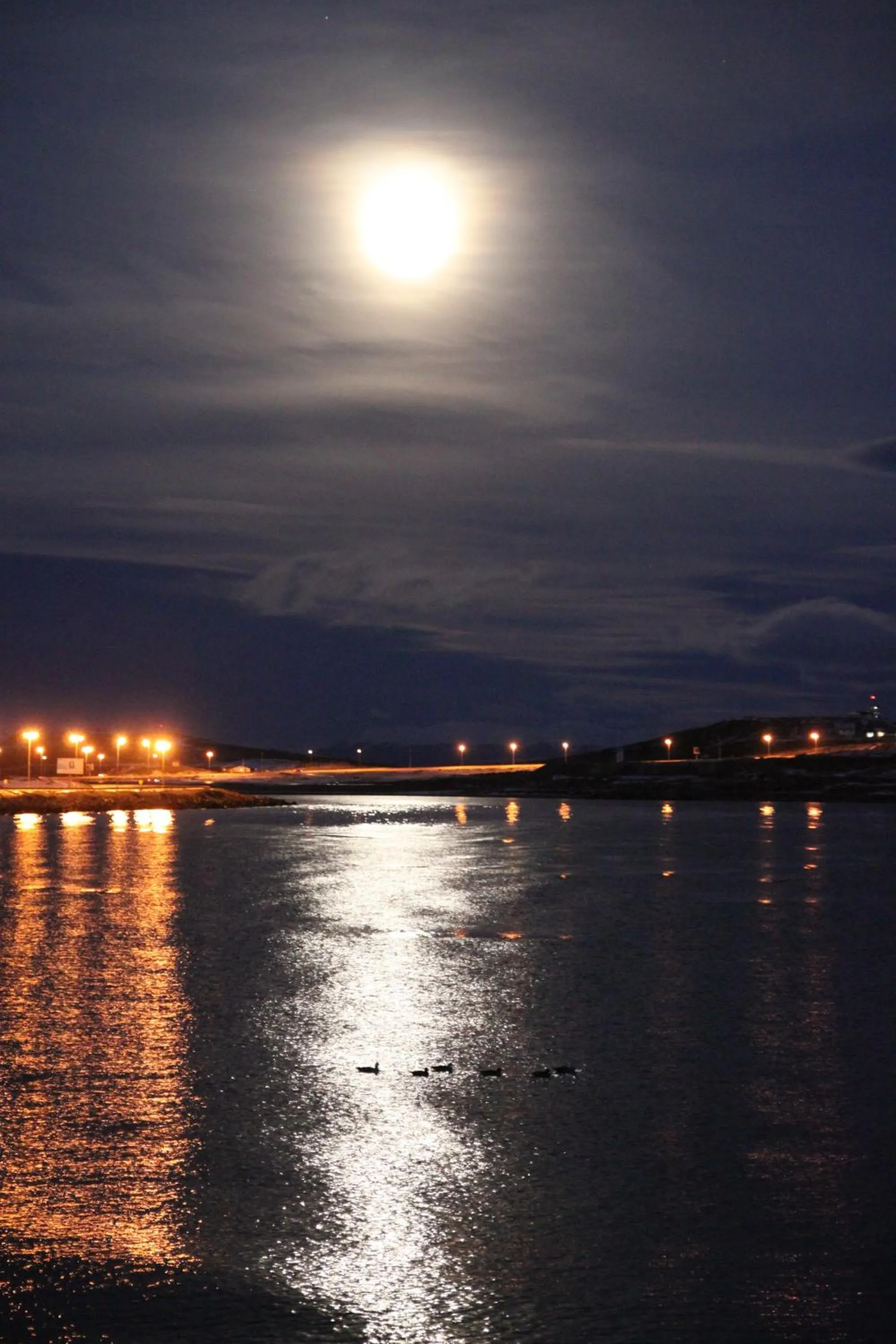 Area and facilities in La Posta Apart