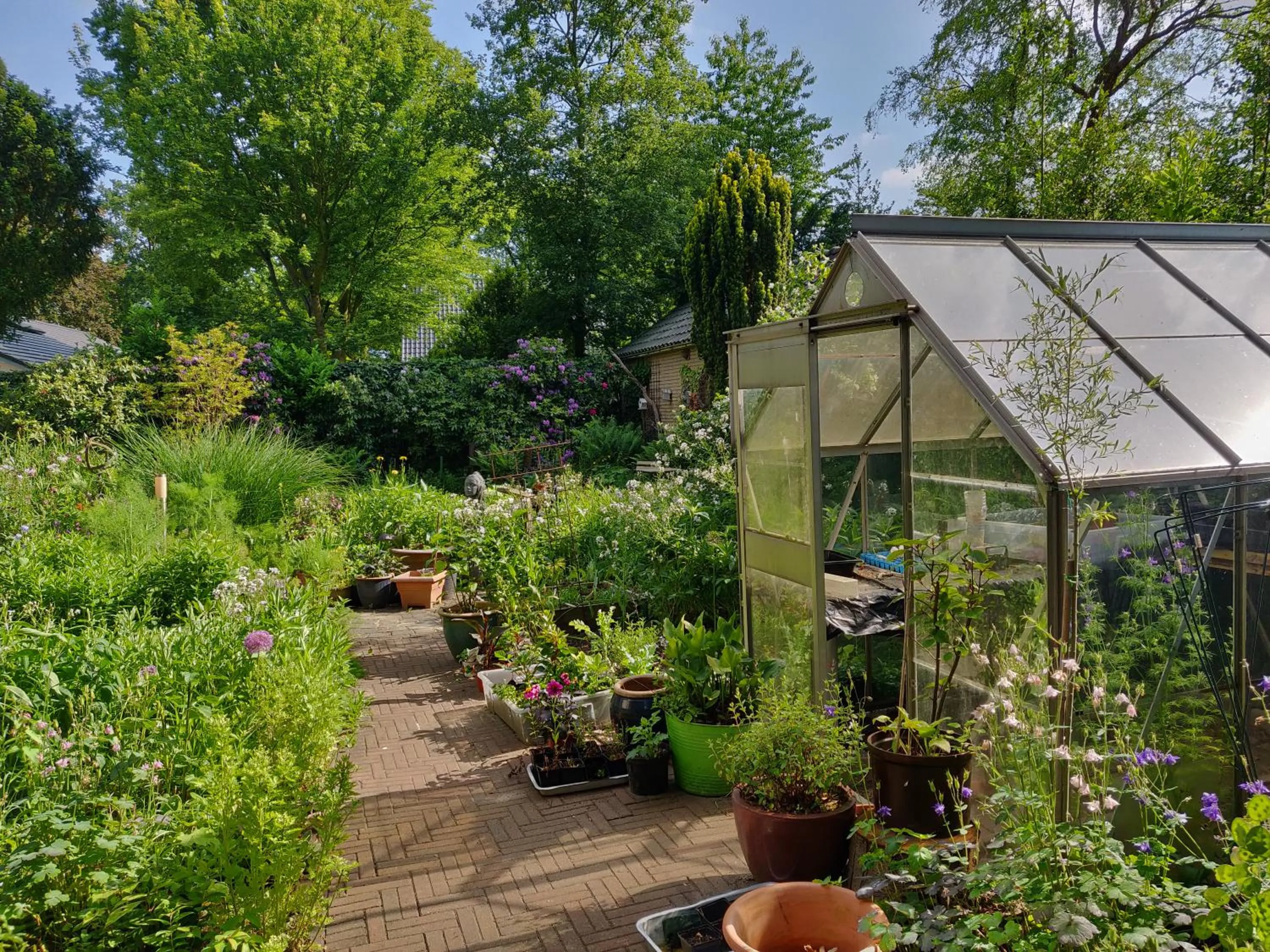 Garden in B&B De Slaperije