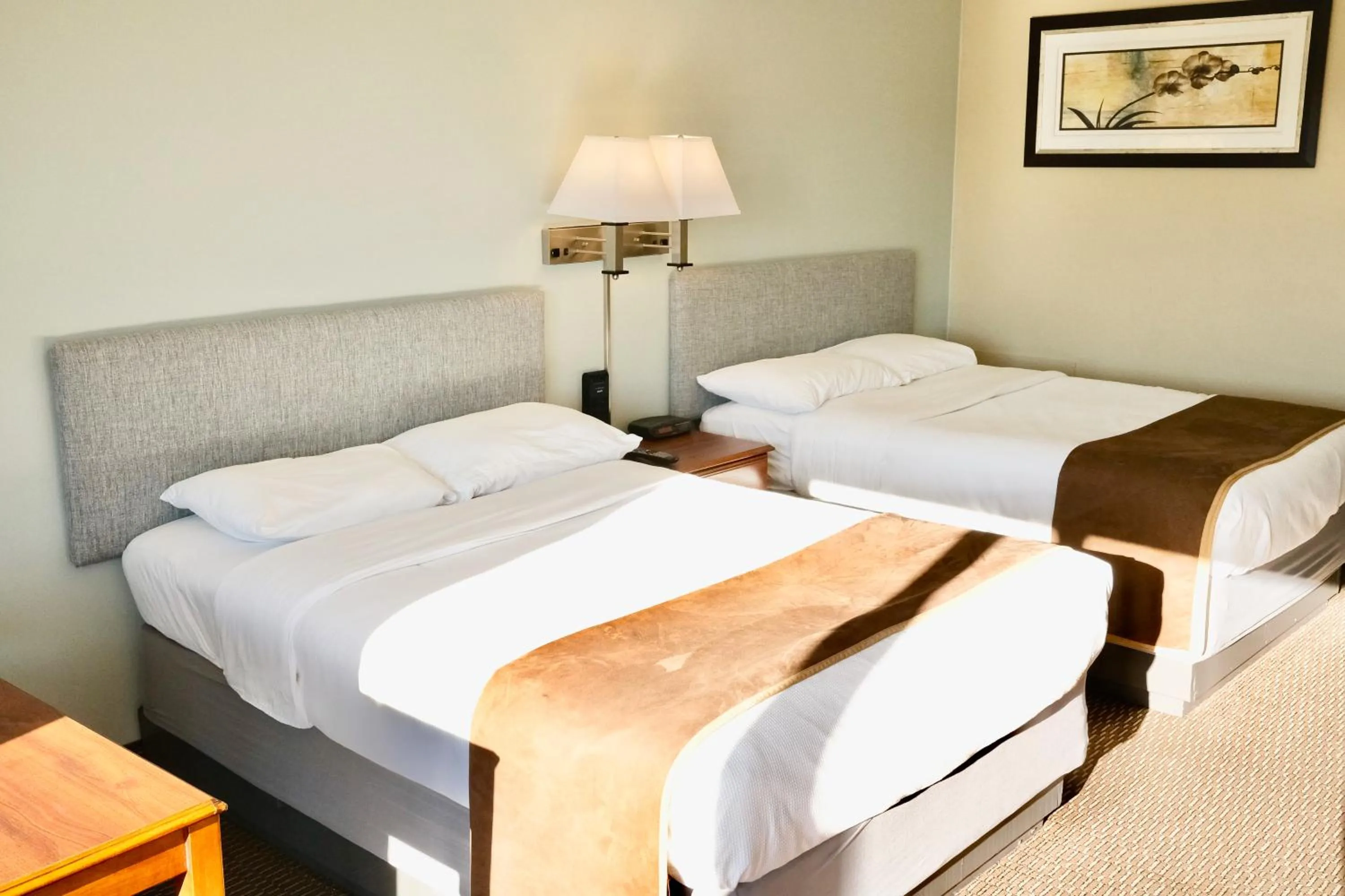 Guests, Bed in Regency Inn of Eddyville Kuttawa