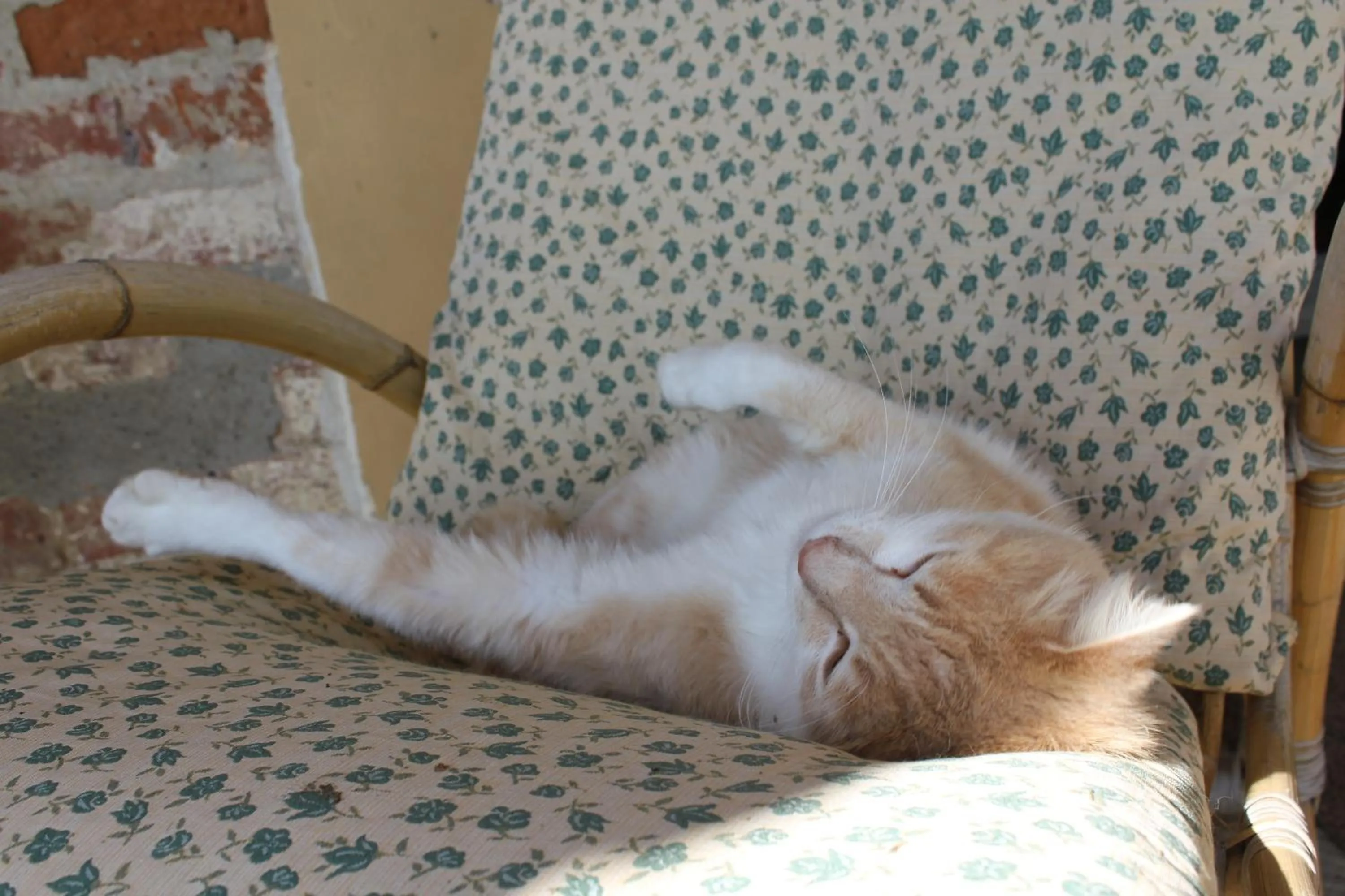 Other in Casa Bellavista B&B