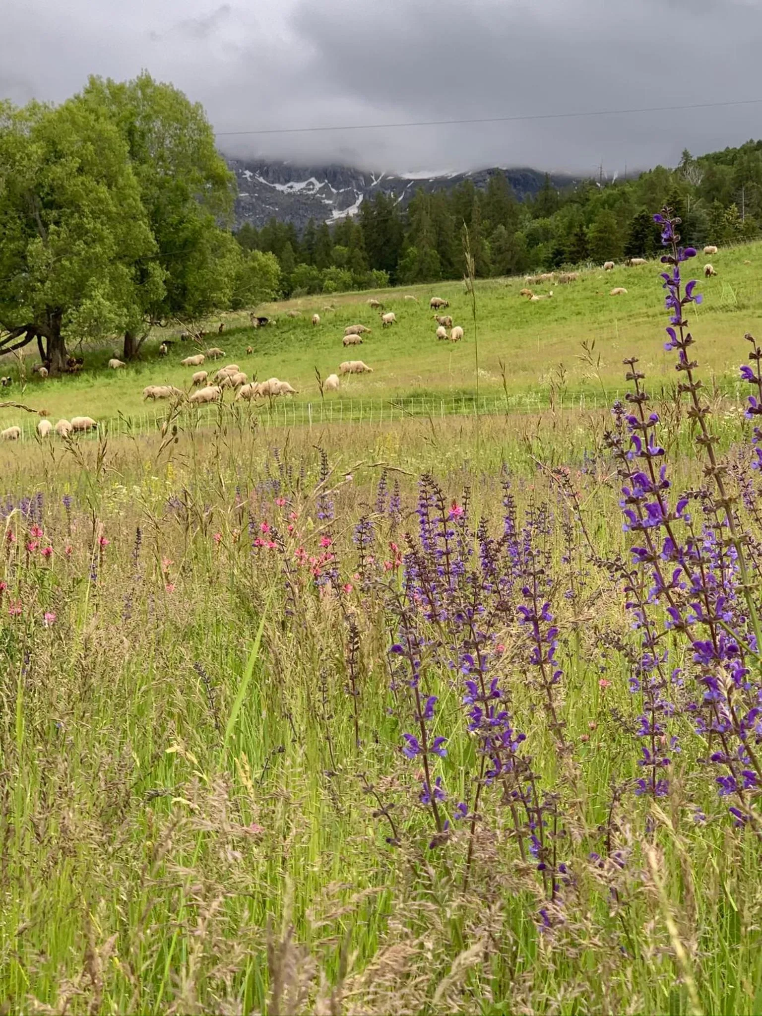 Natural landscape in Hôtel l'Équipe