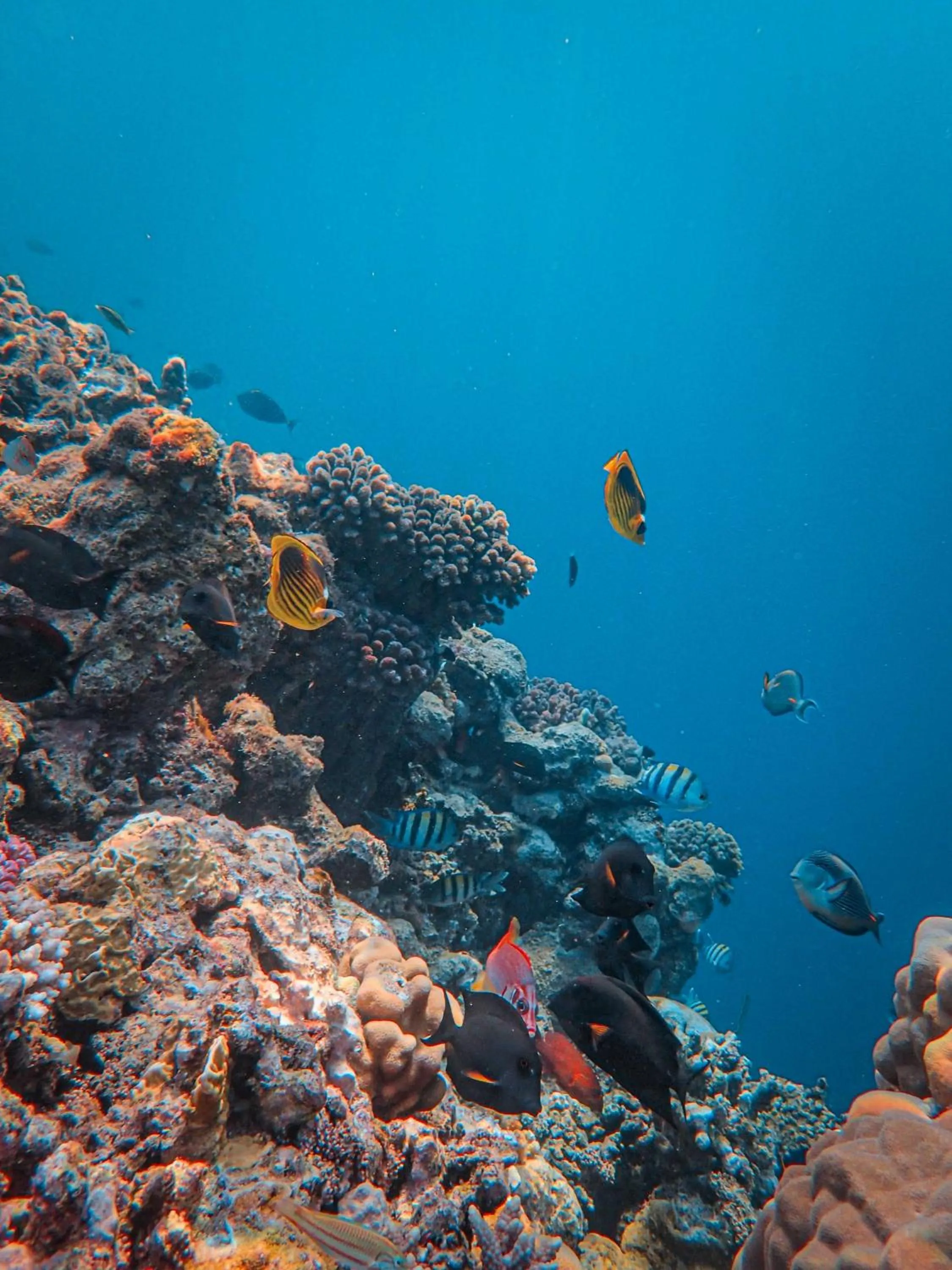 Hotel Americas San Andres Islas Colombia