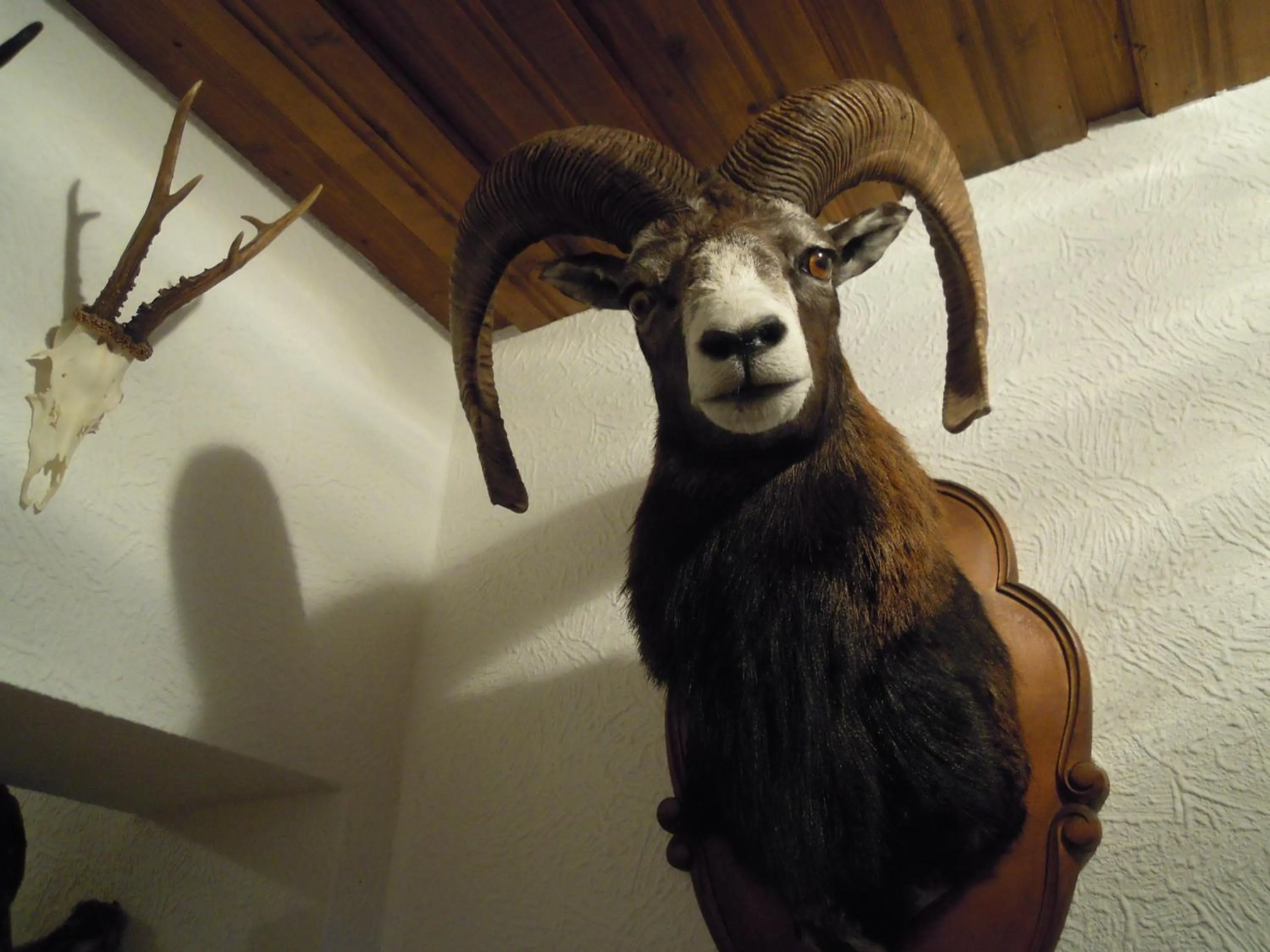 Decorative detail in Pension Herzoggut