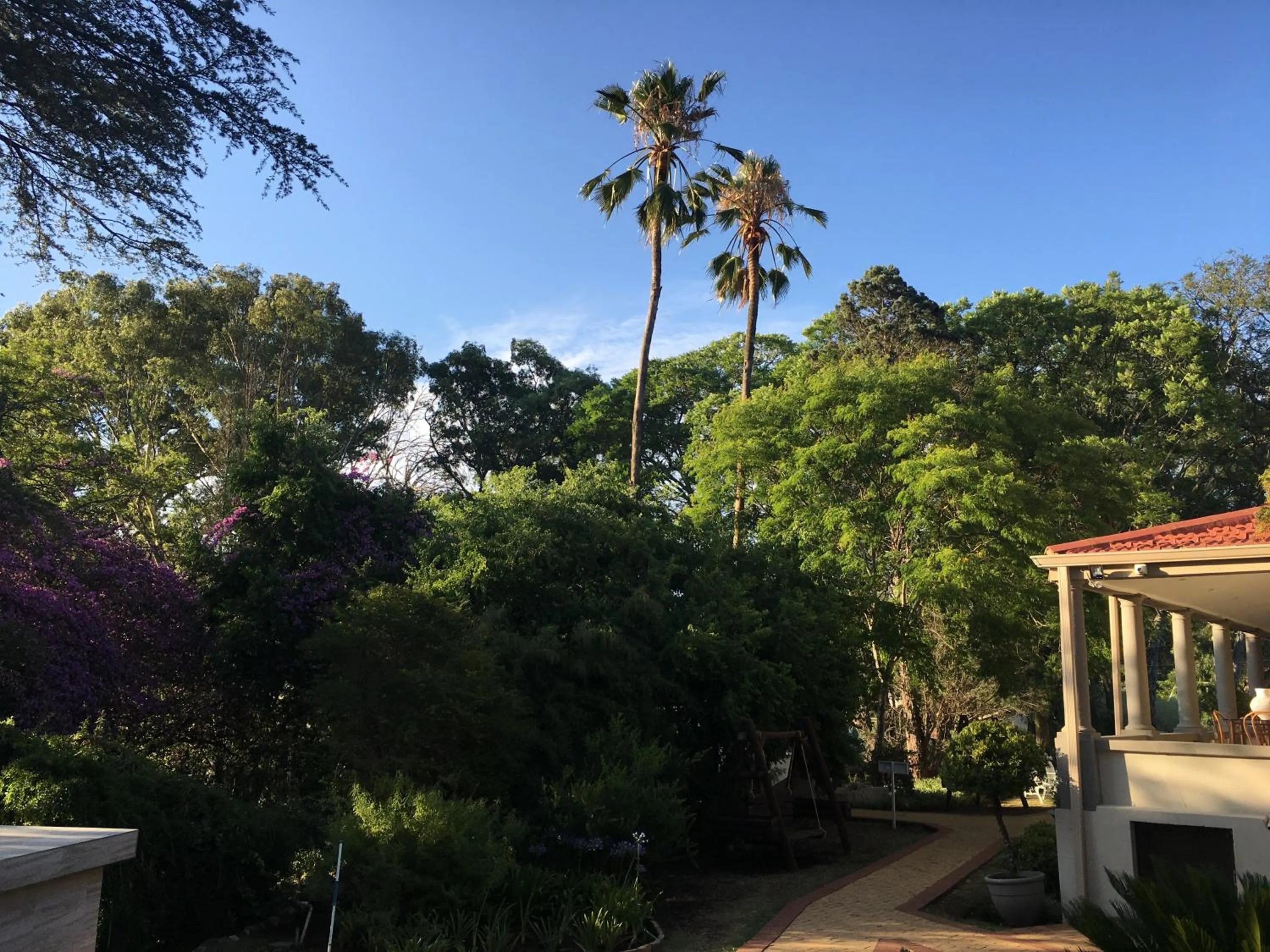 Mountain view in Peaches & Cream Bed & Breakfast