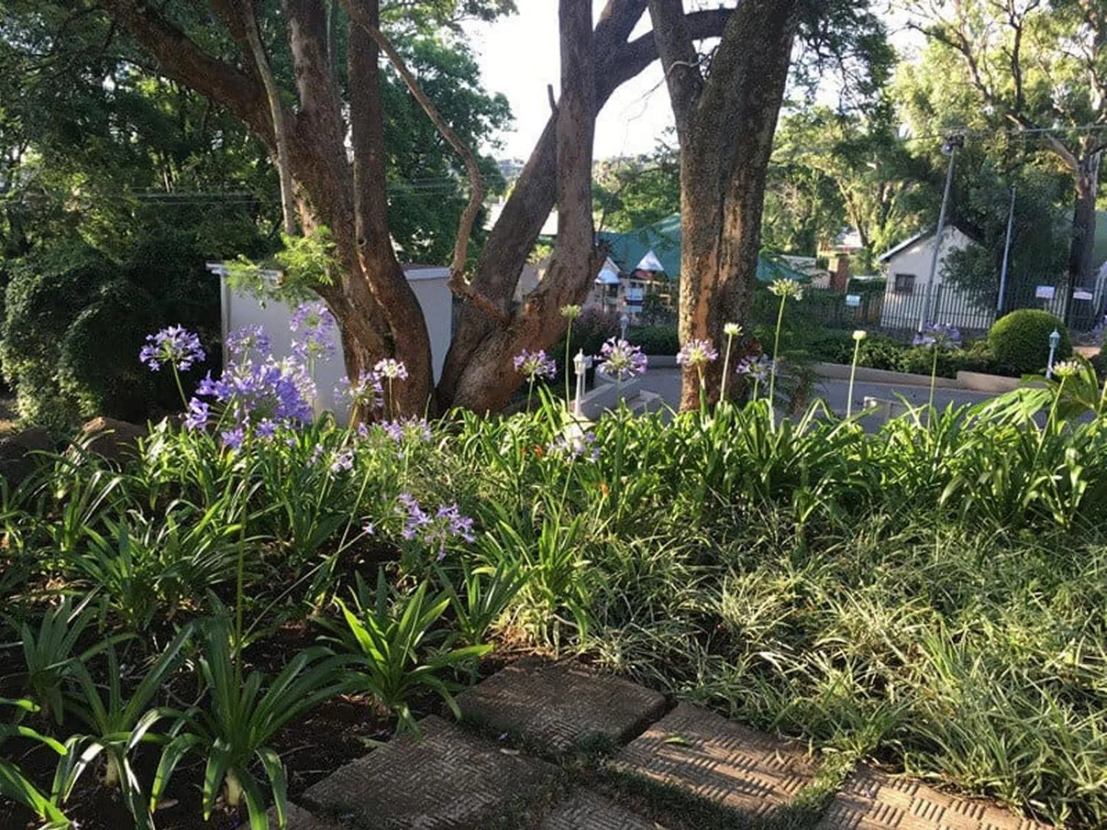 Garden in Peaches & Cream Bed & Breakfast