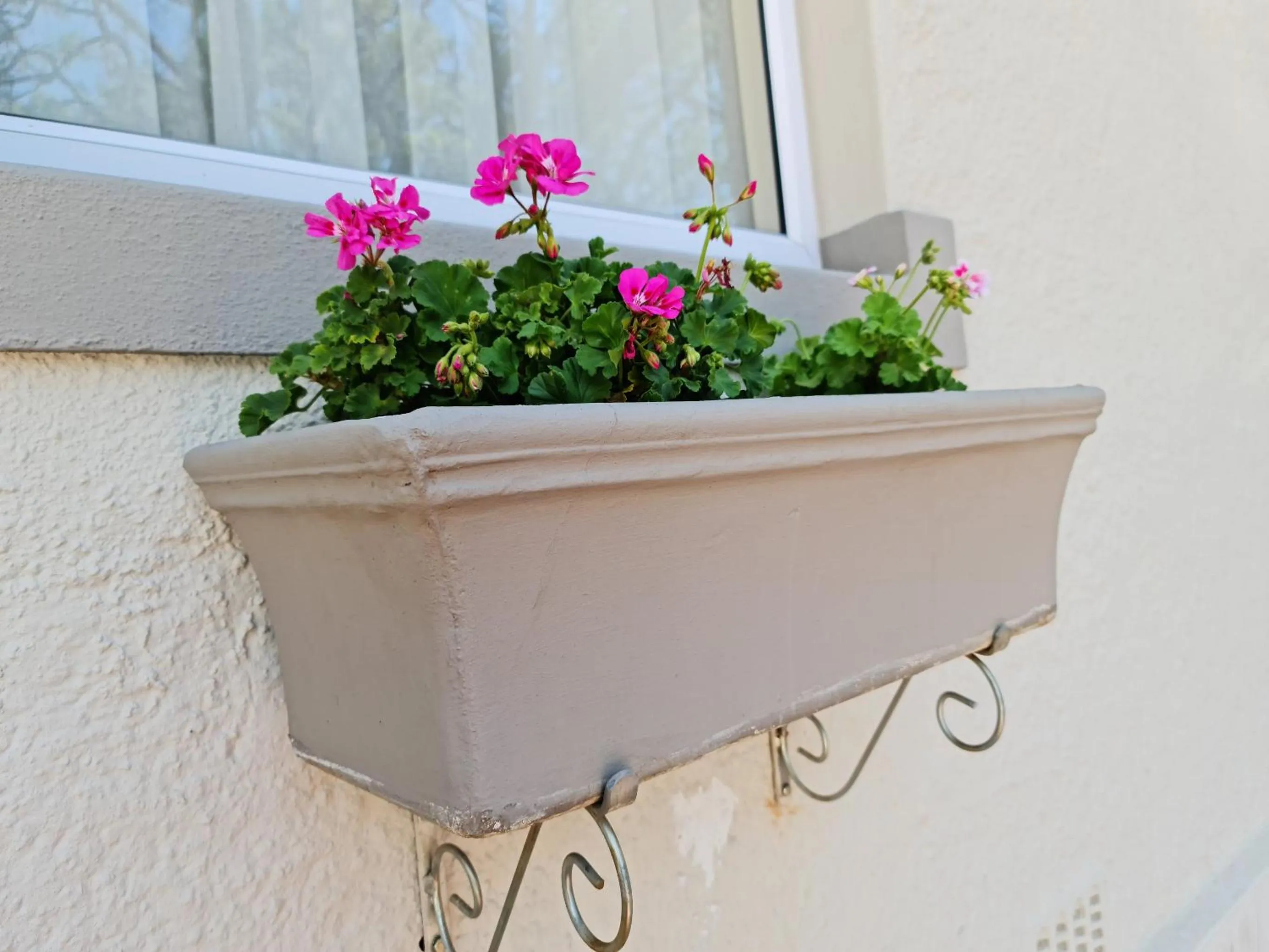 Balcony/Terrace in Peaches & Cream Bed & Breakfast