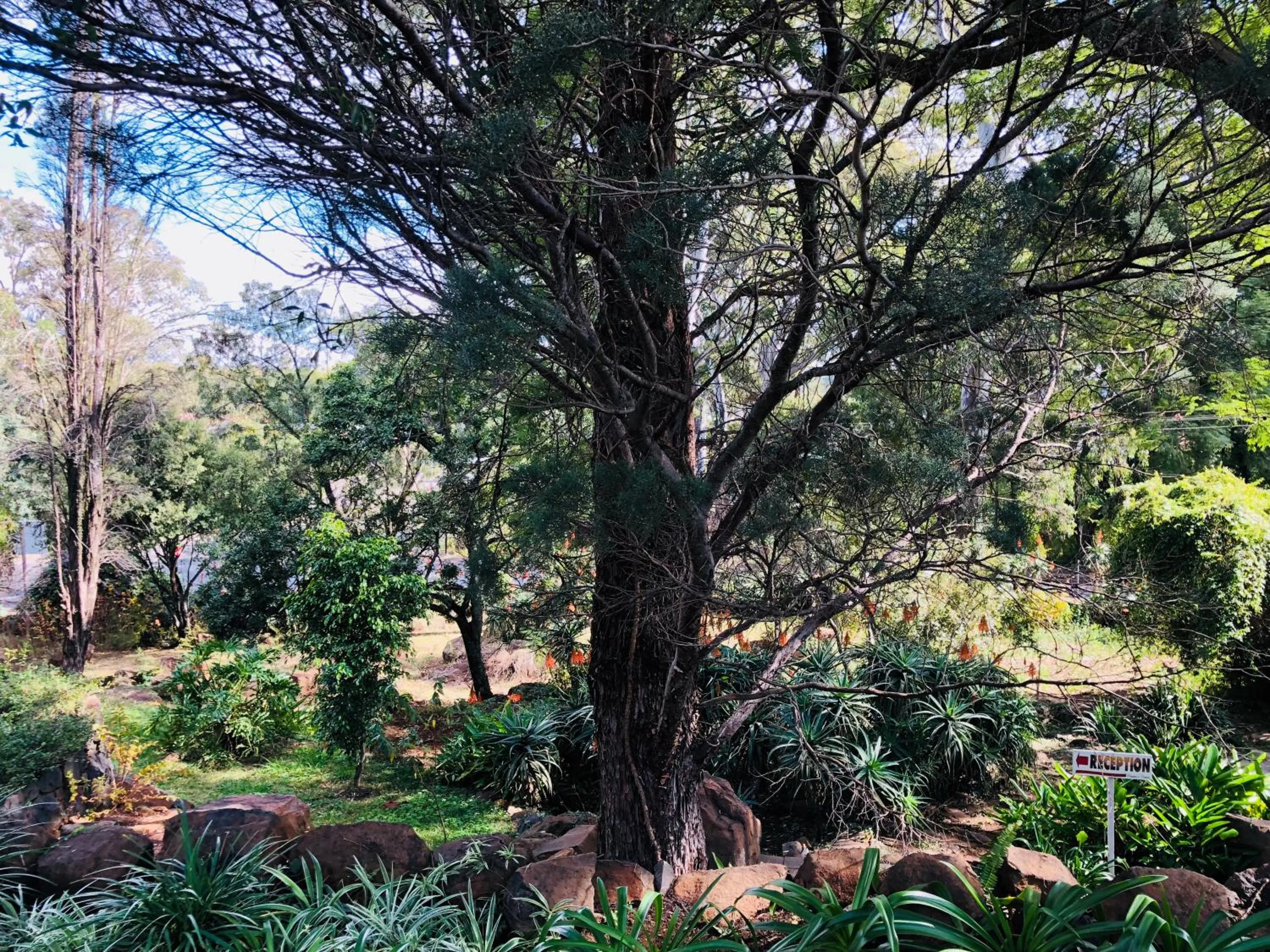 Garden in Peaches & Cream Bed & Breakfast