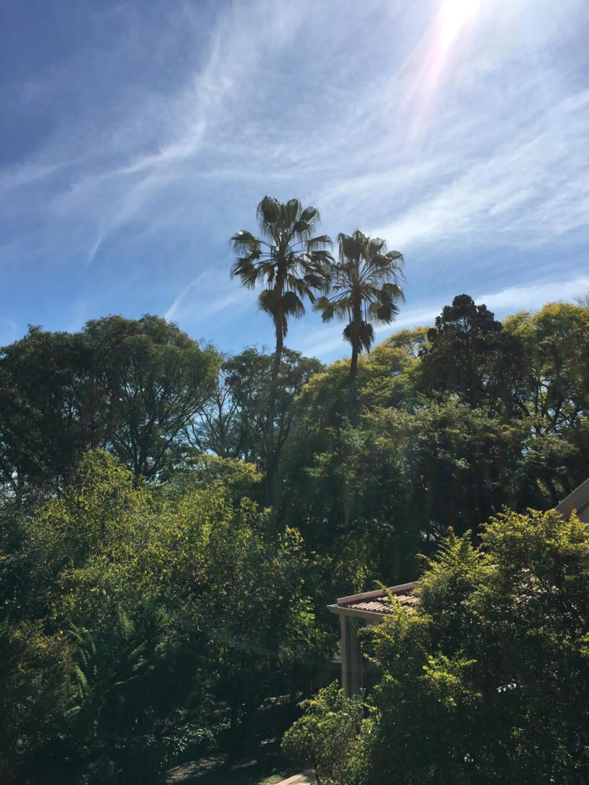 Natural landscape in Peaches & Cream Bed & Breakfast