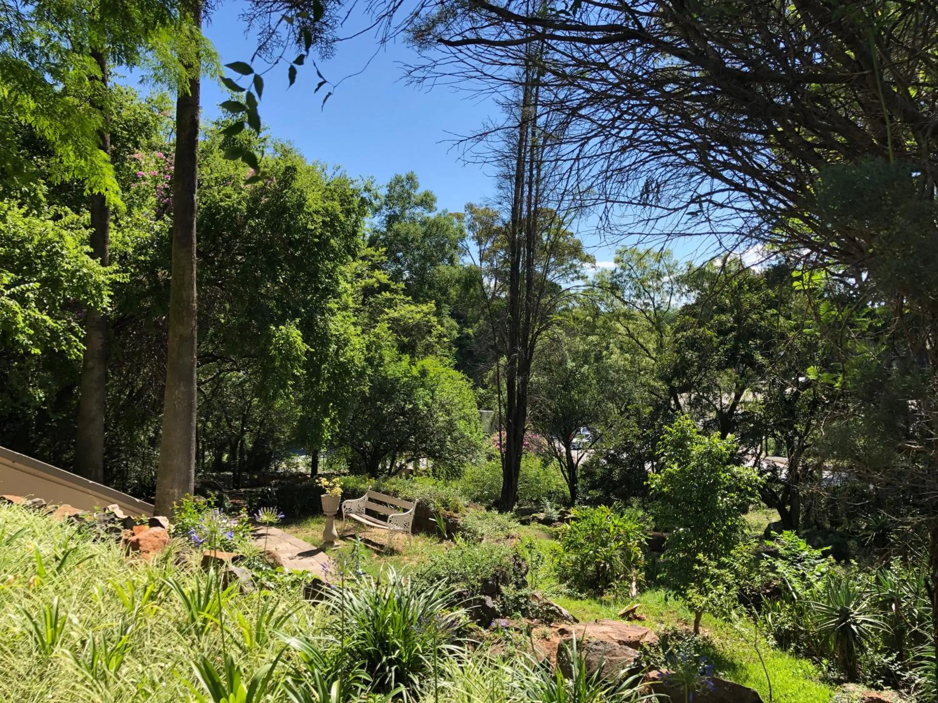 Garden in Peaches & Cream Bed & Breakfast