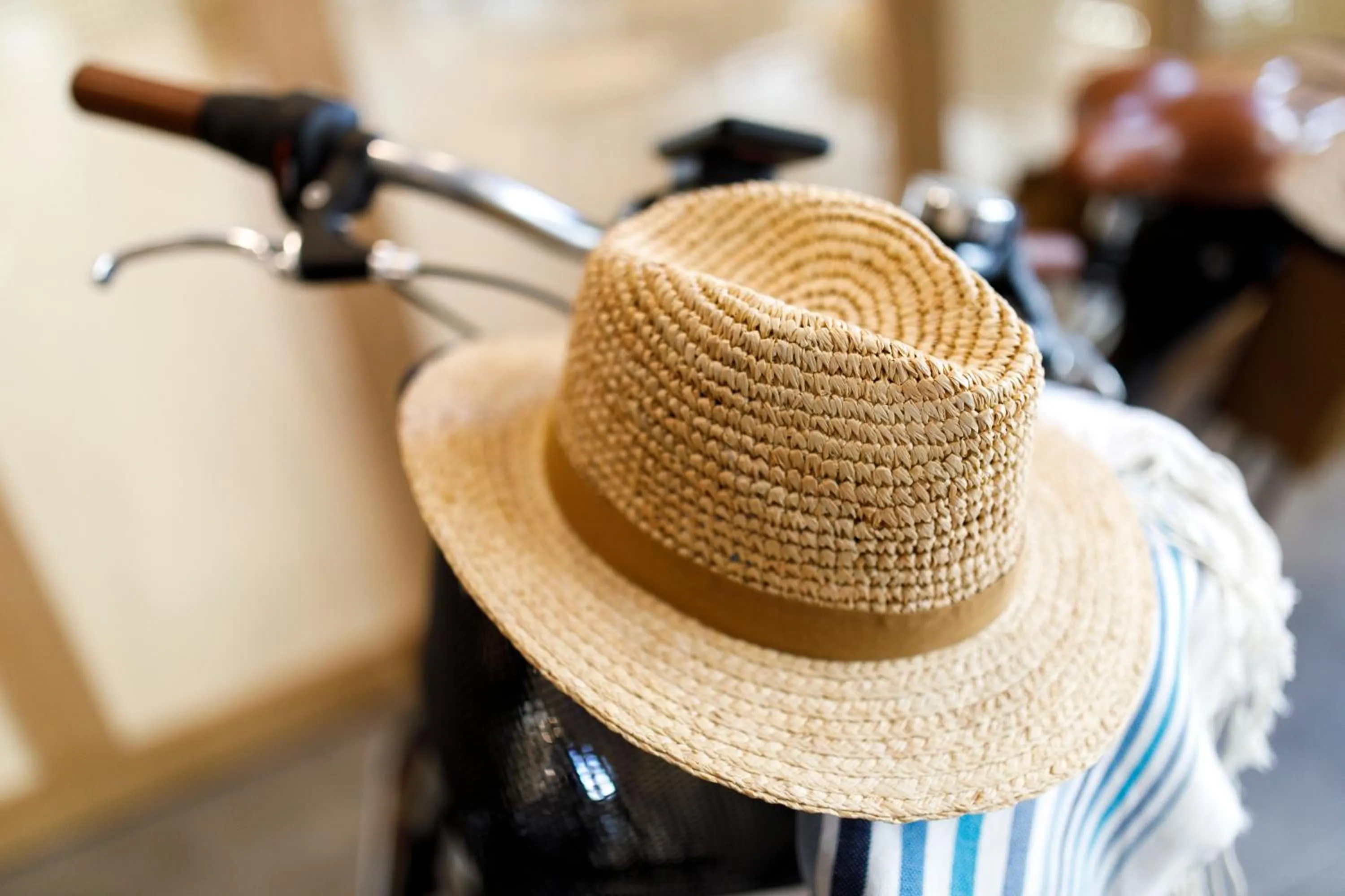 Area and facilities in Protur Naisa Palma Hotel