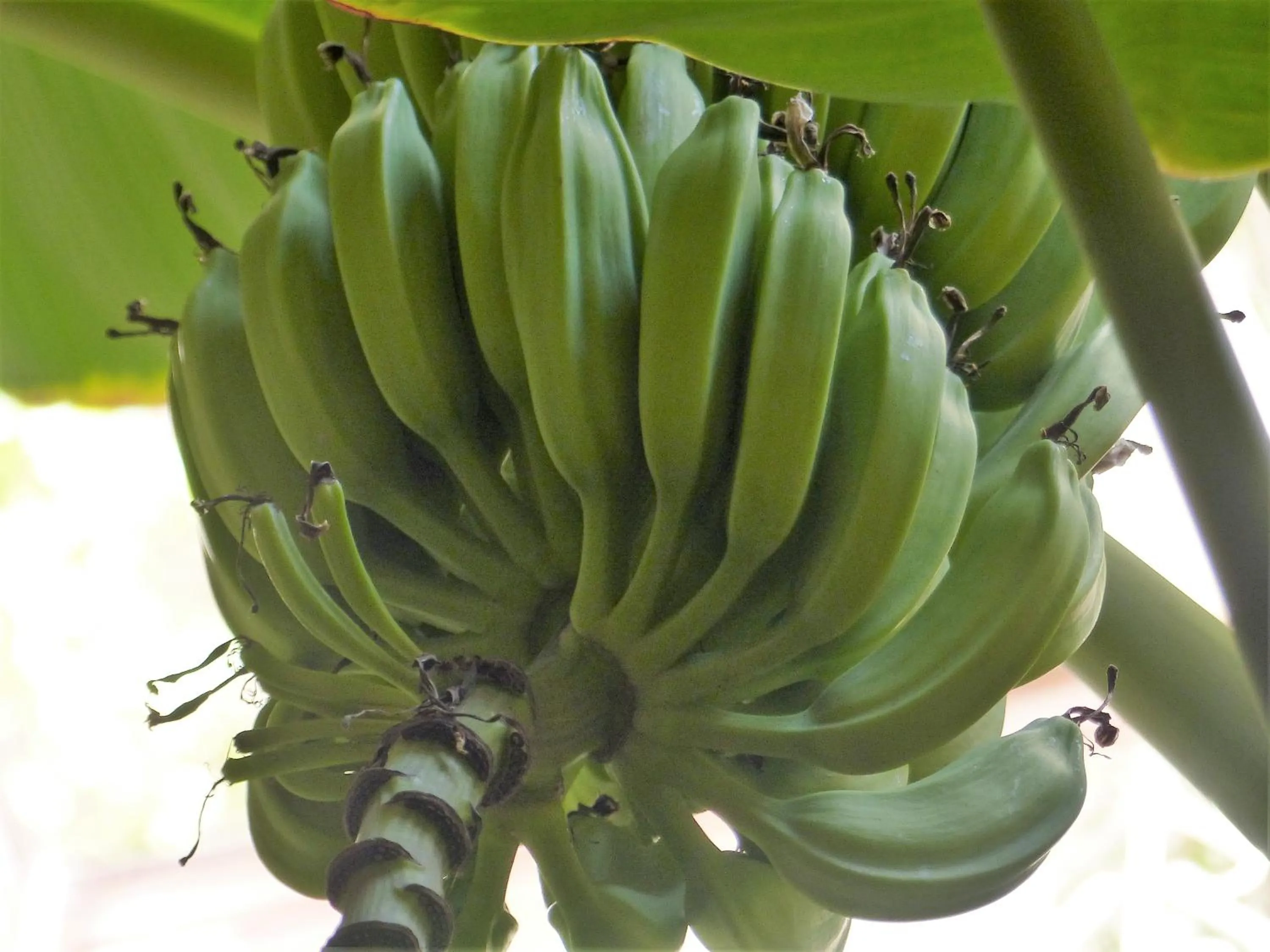 Day in Riad Marhbabikoum