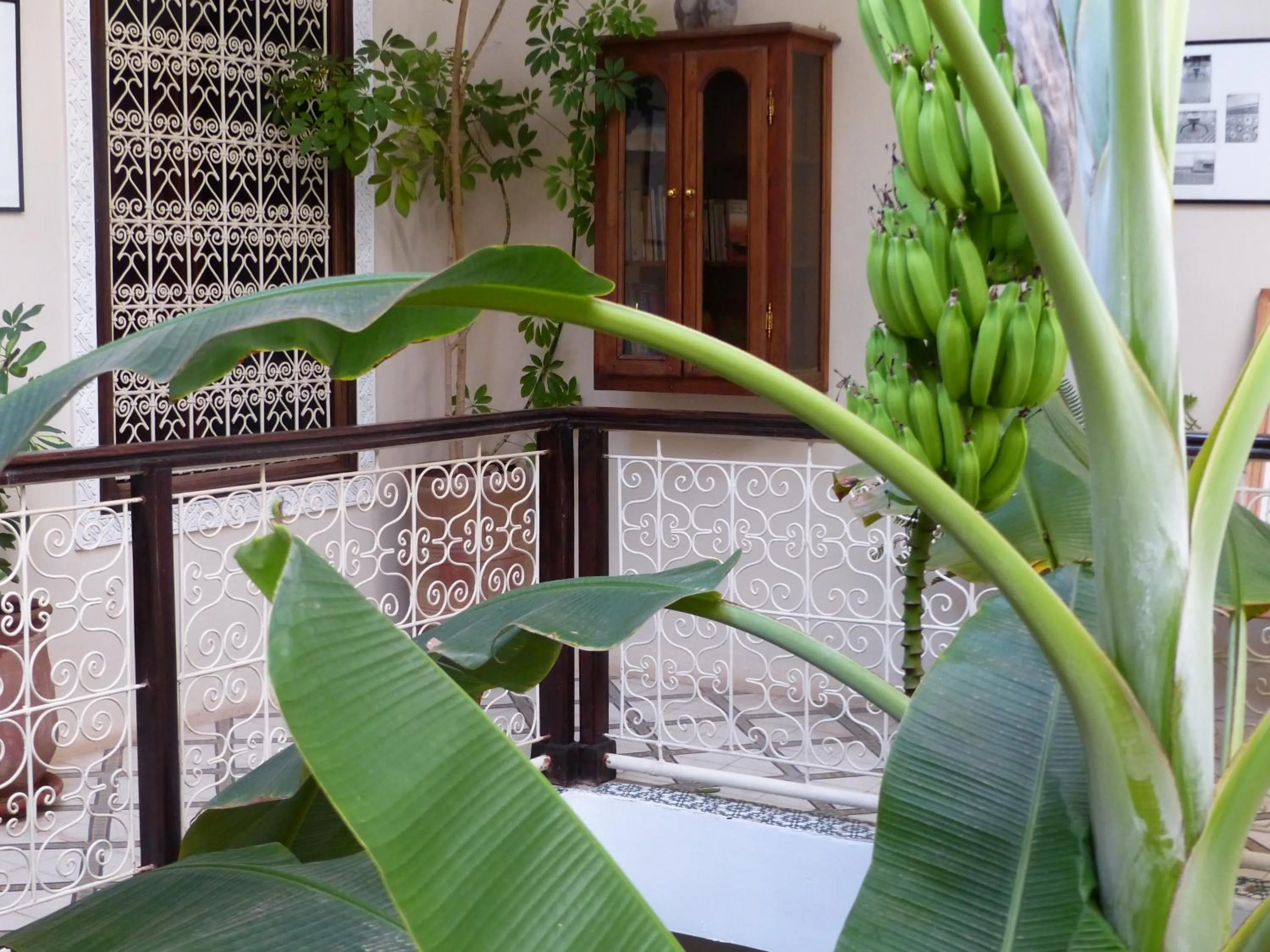 Garden view in Riad Marhbabikoum