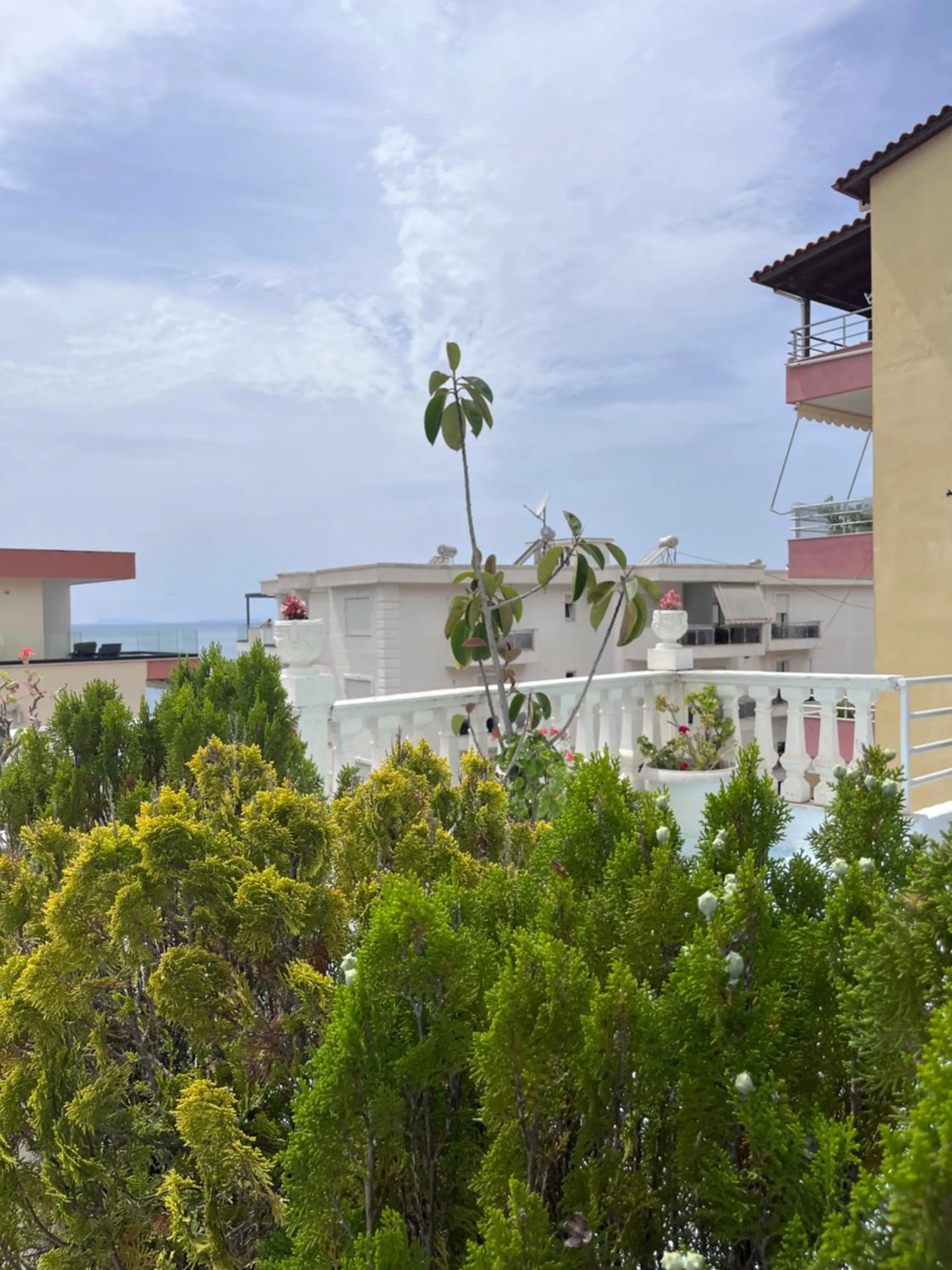 Garden view in Hotel Primavera