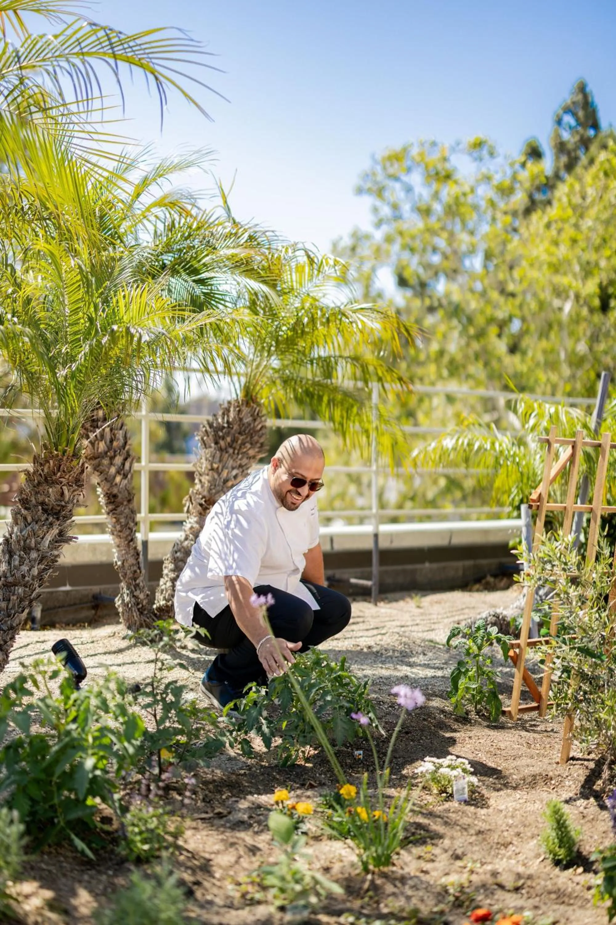 Restaurant/places to eat in The Westin South Coast Plaza, Costa Mesa