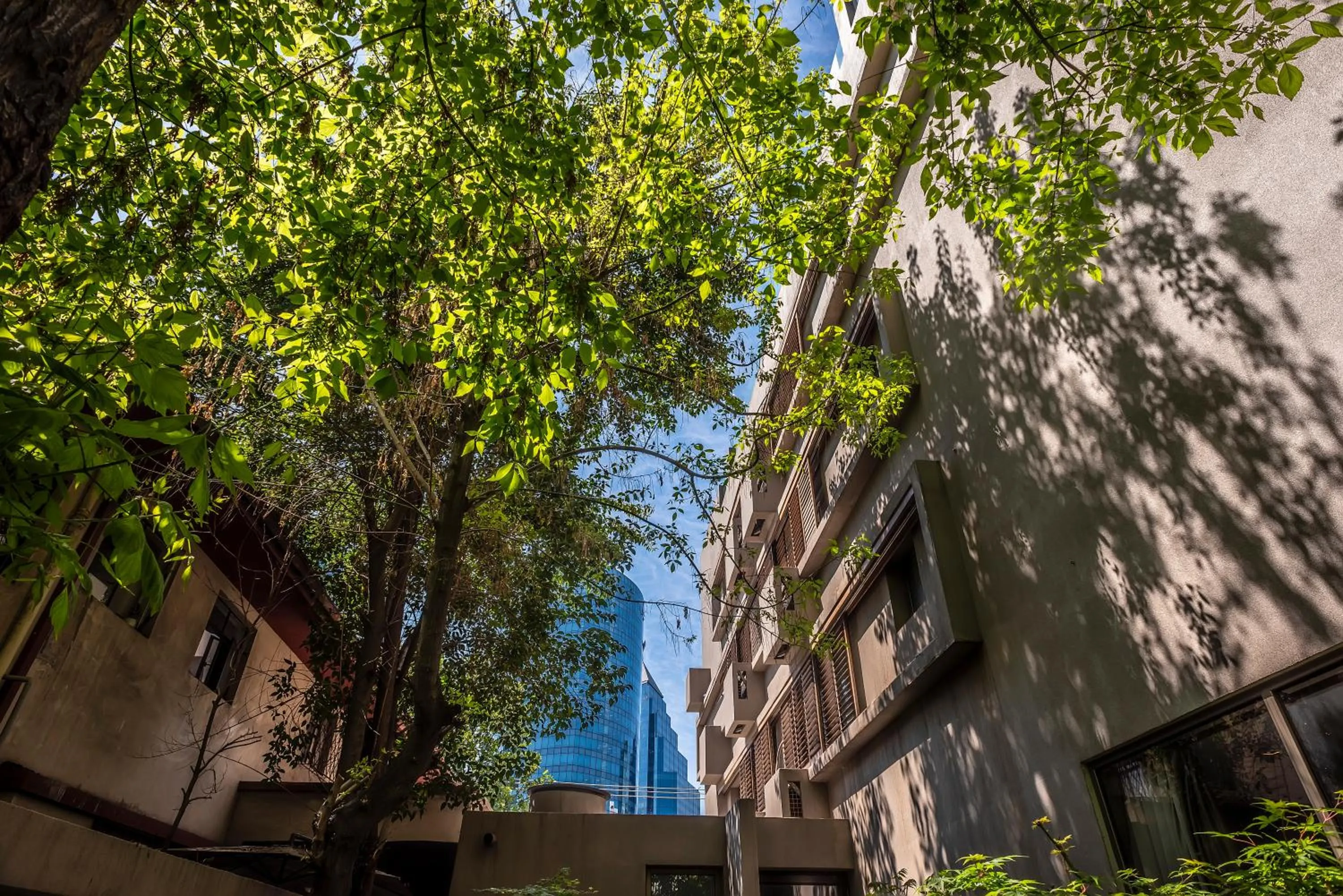 Spring in Hotel Los Españoles Plus