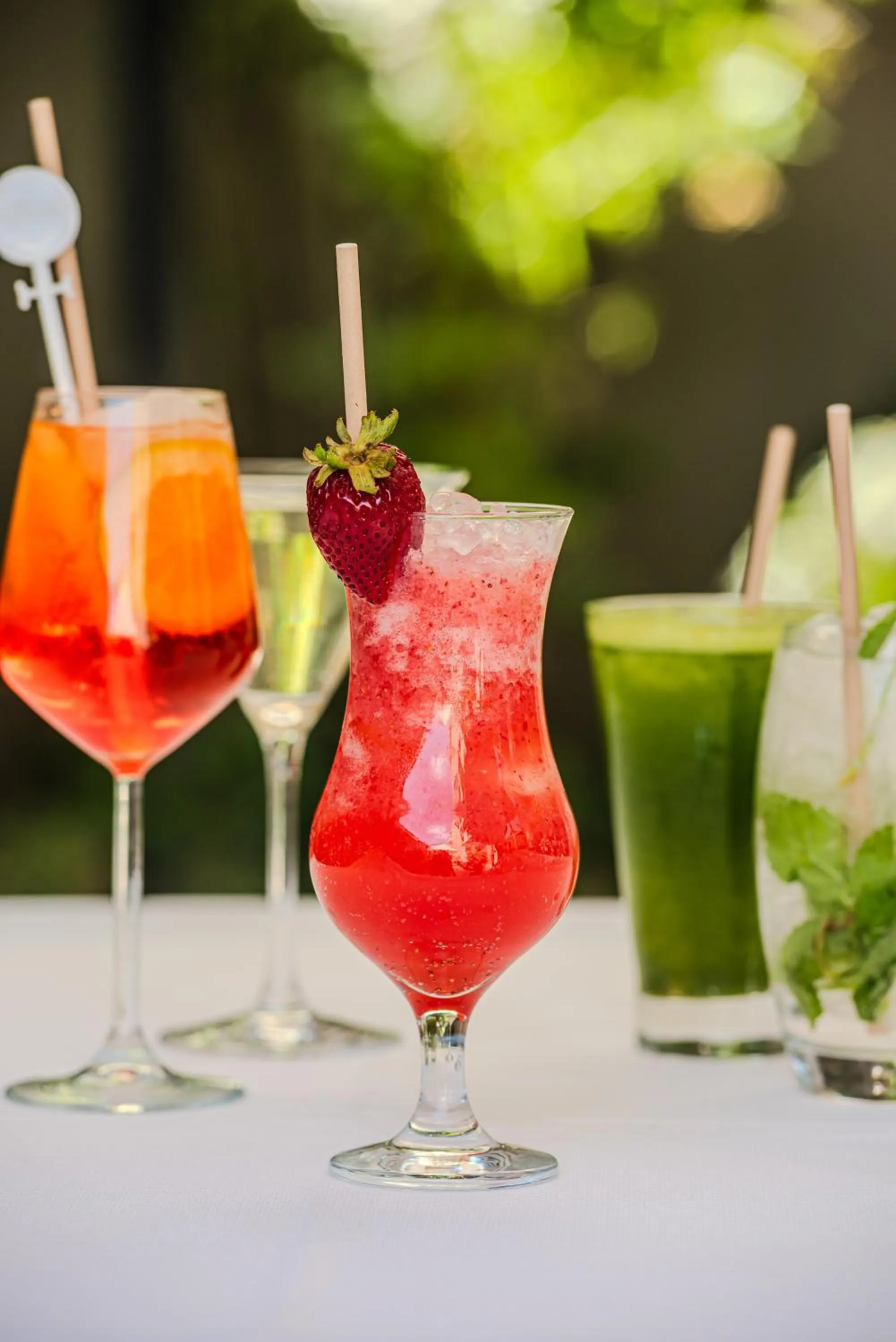 Drinks in Hotel Los Españoles Plus