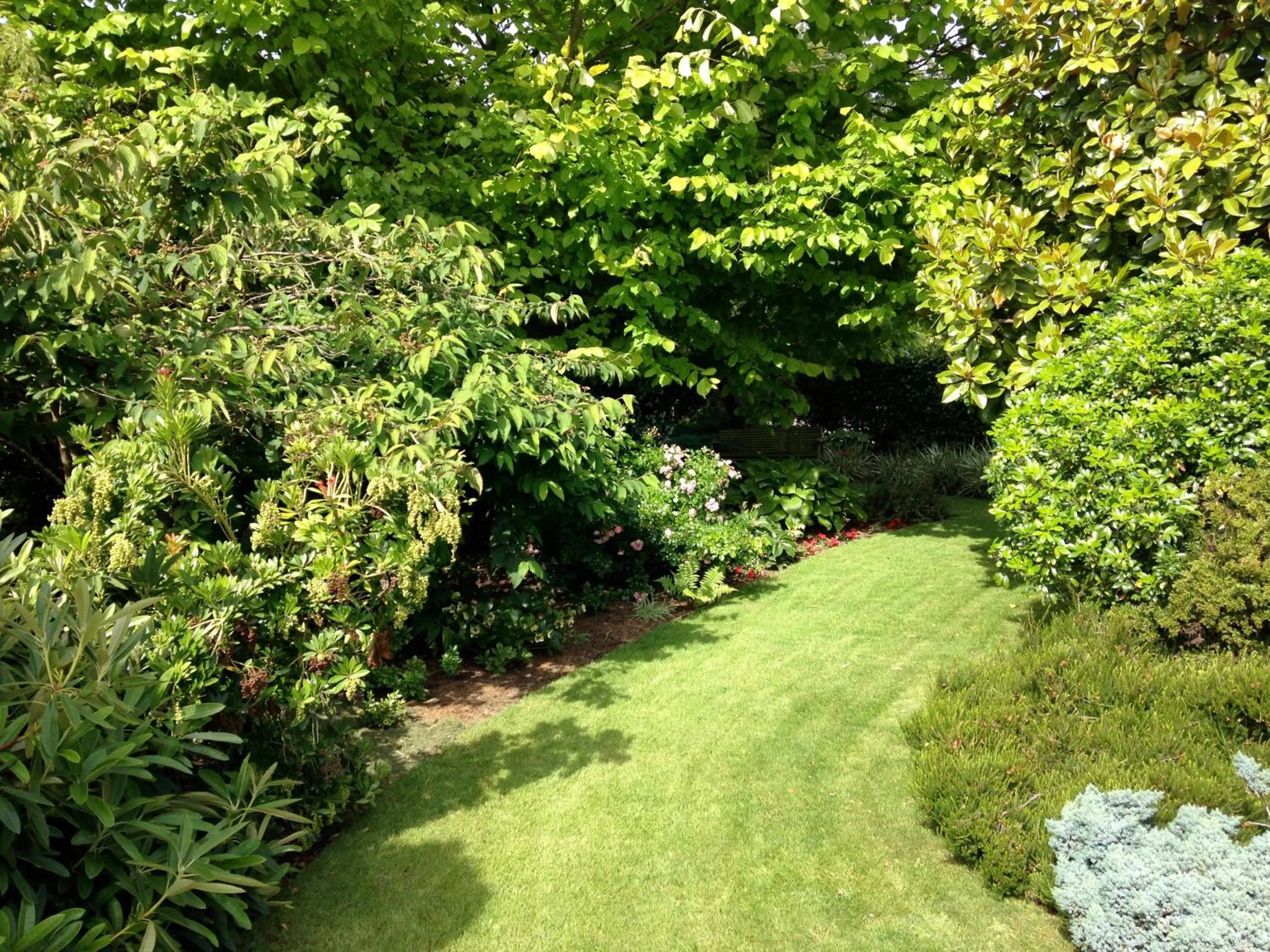 Day in Avalon Manor Motel