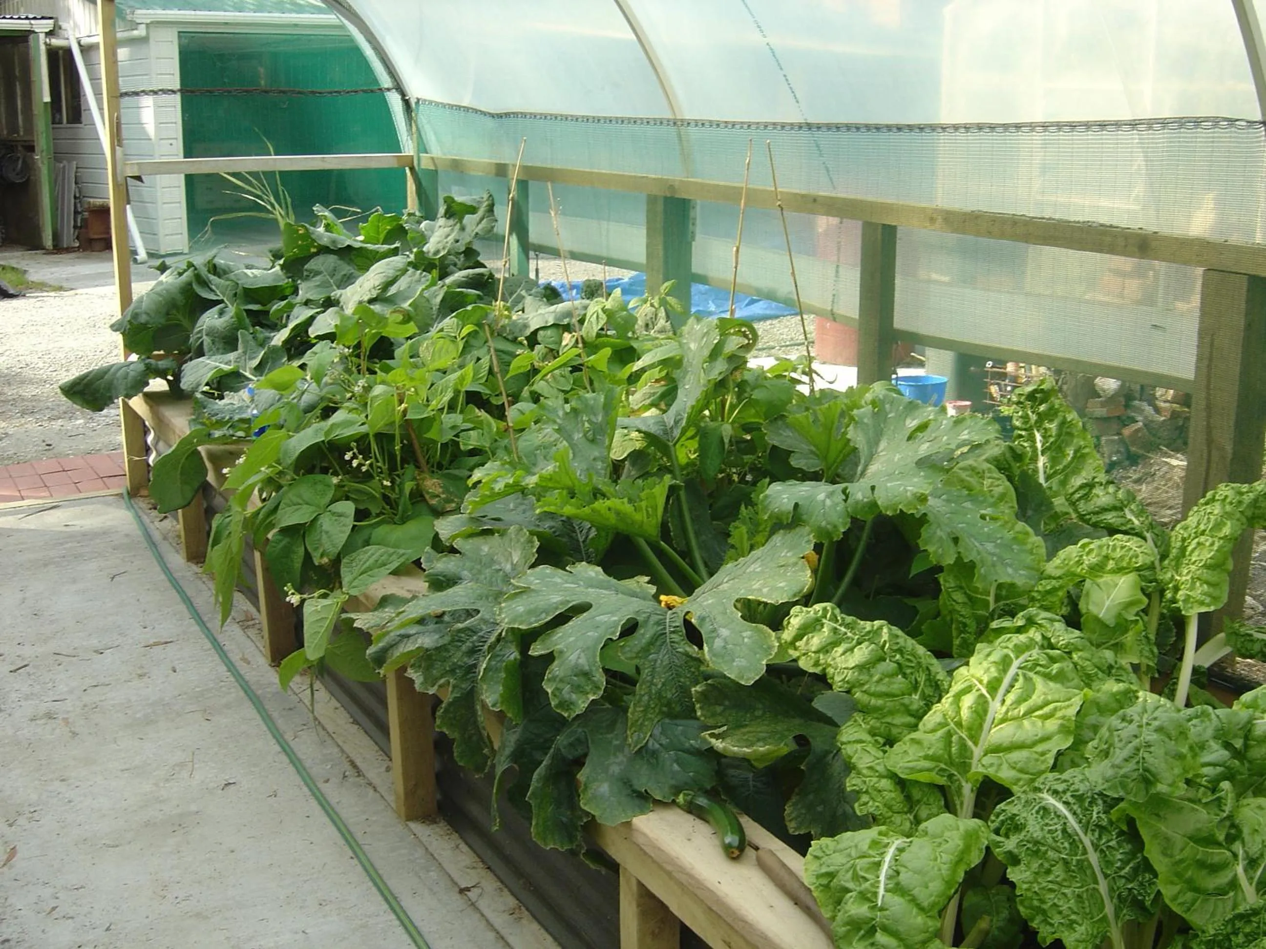 Garden in Awatuna Homestead