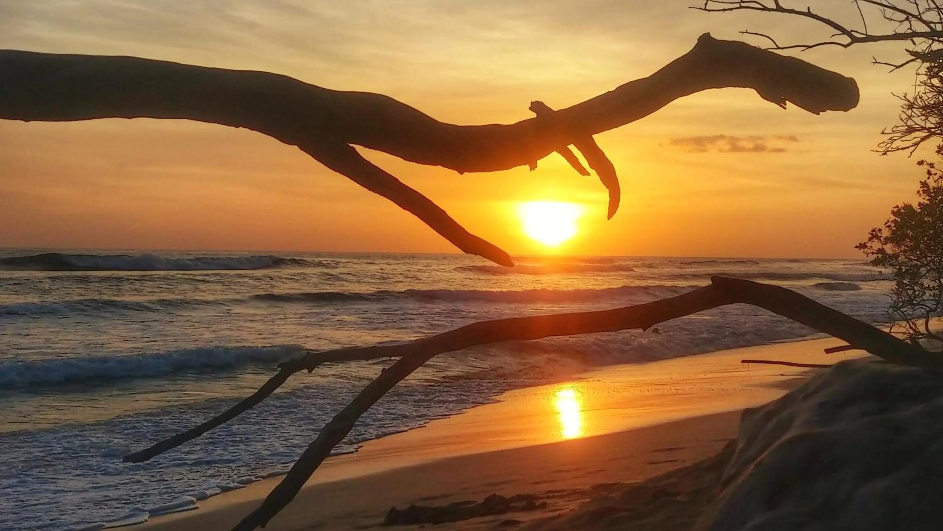 Sunset in Casa Cecilia Beach Front