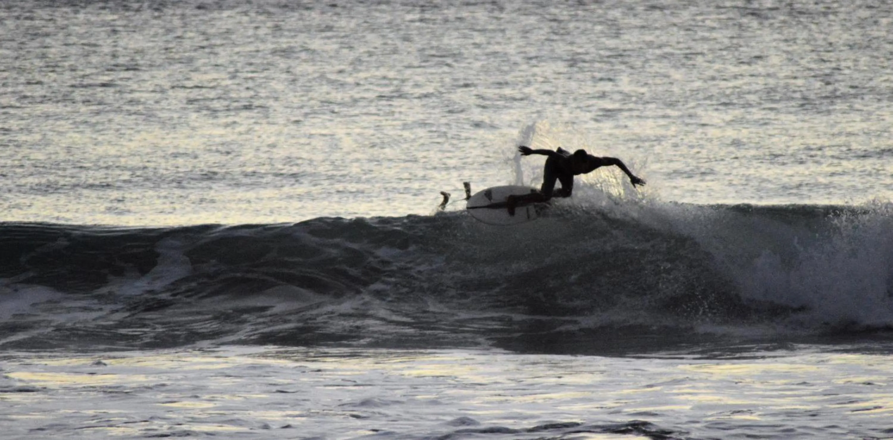 Activities in Casa Cecilia Beach Front