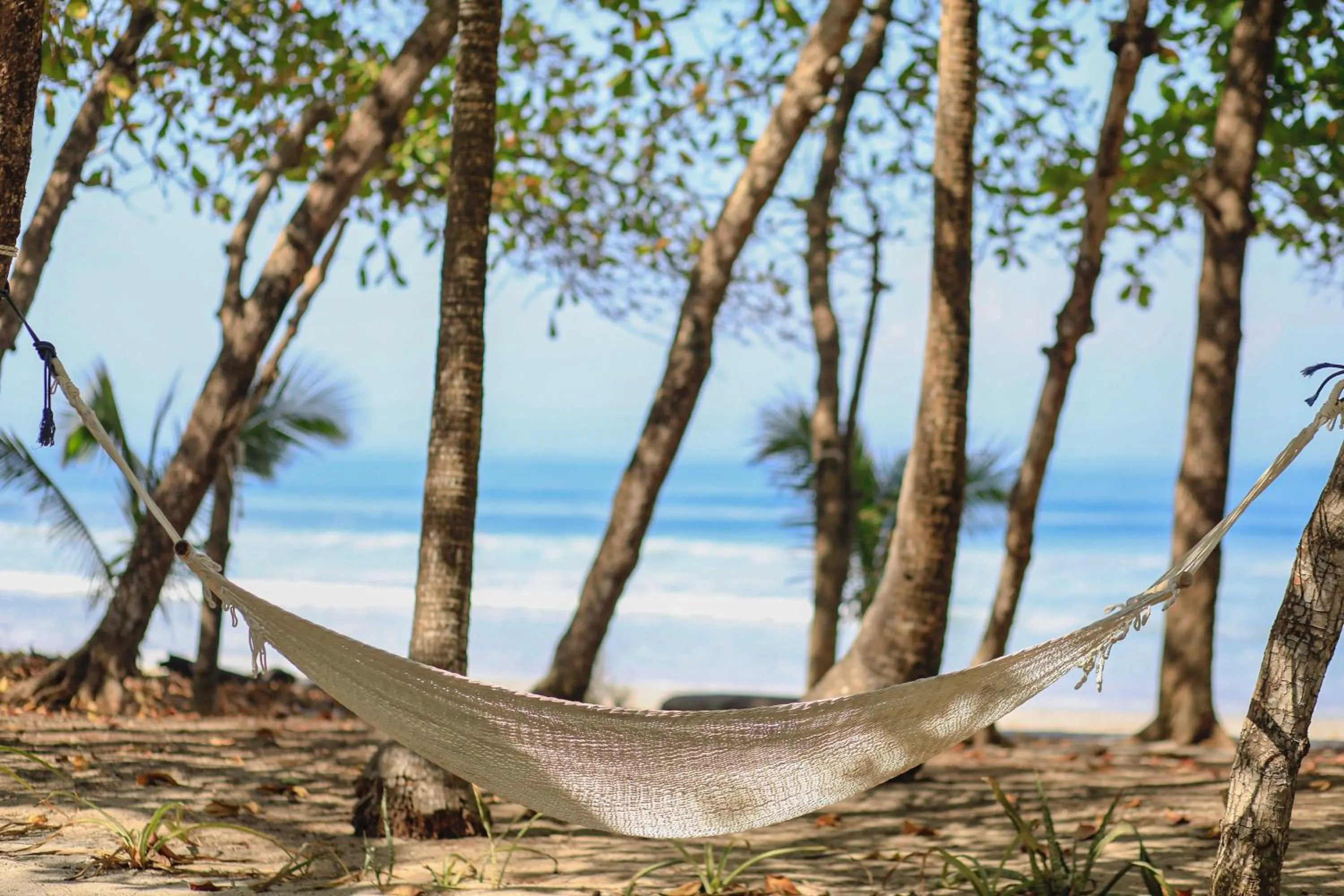 Beach in Casa Cecilia Beach Front