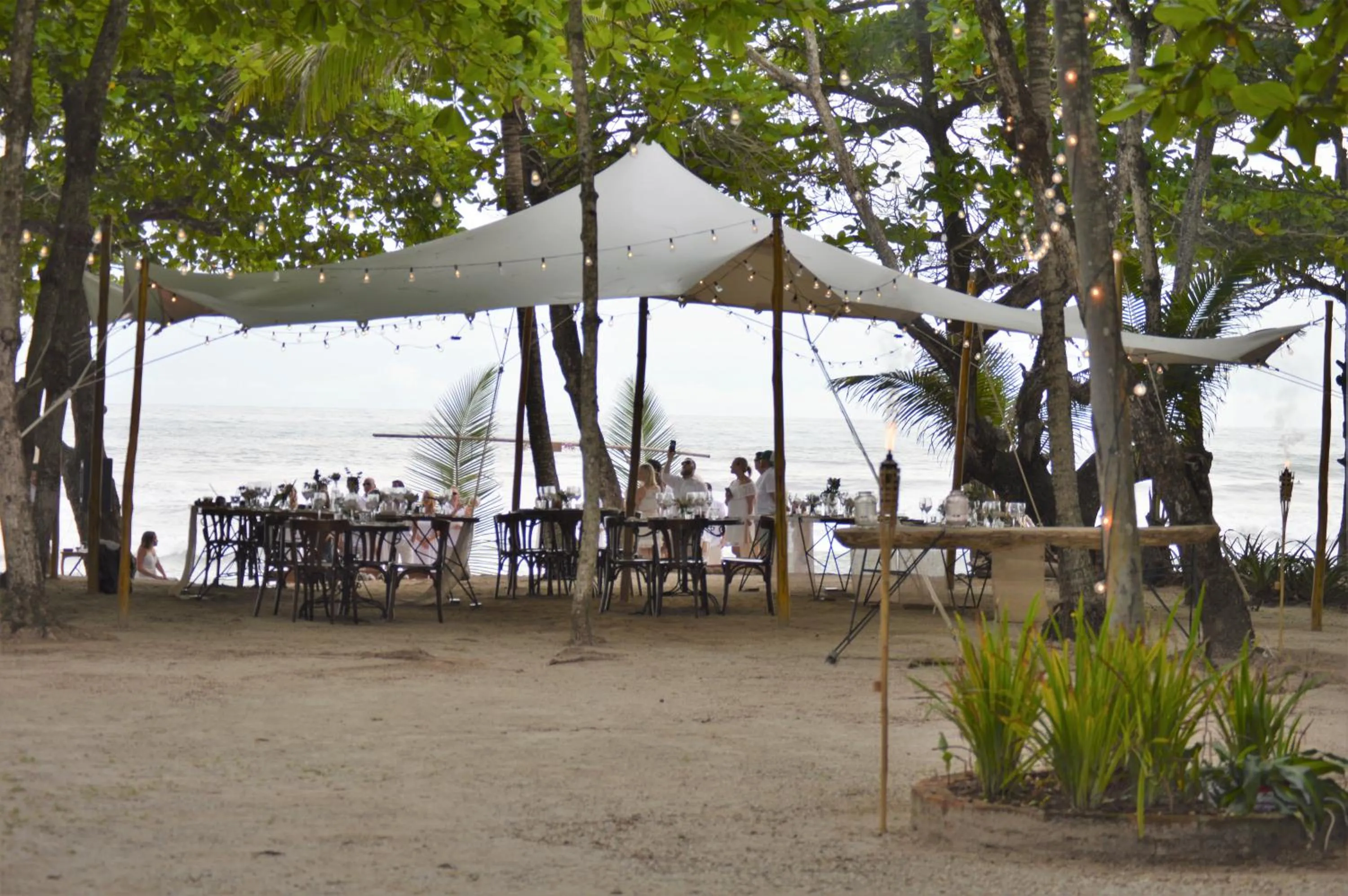 Beach in Casa Cecilia Beach Front