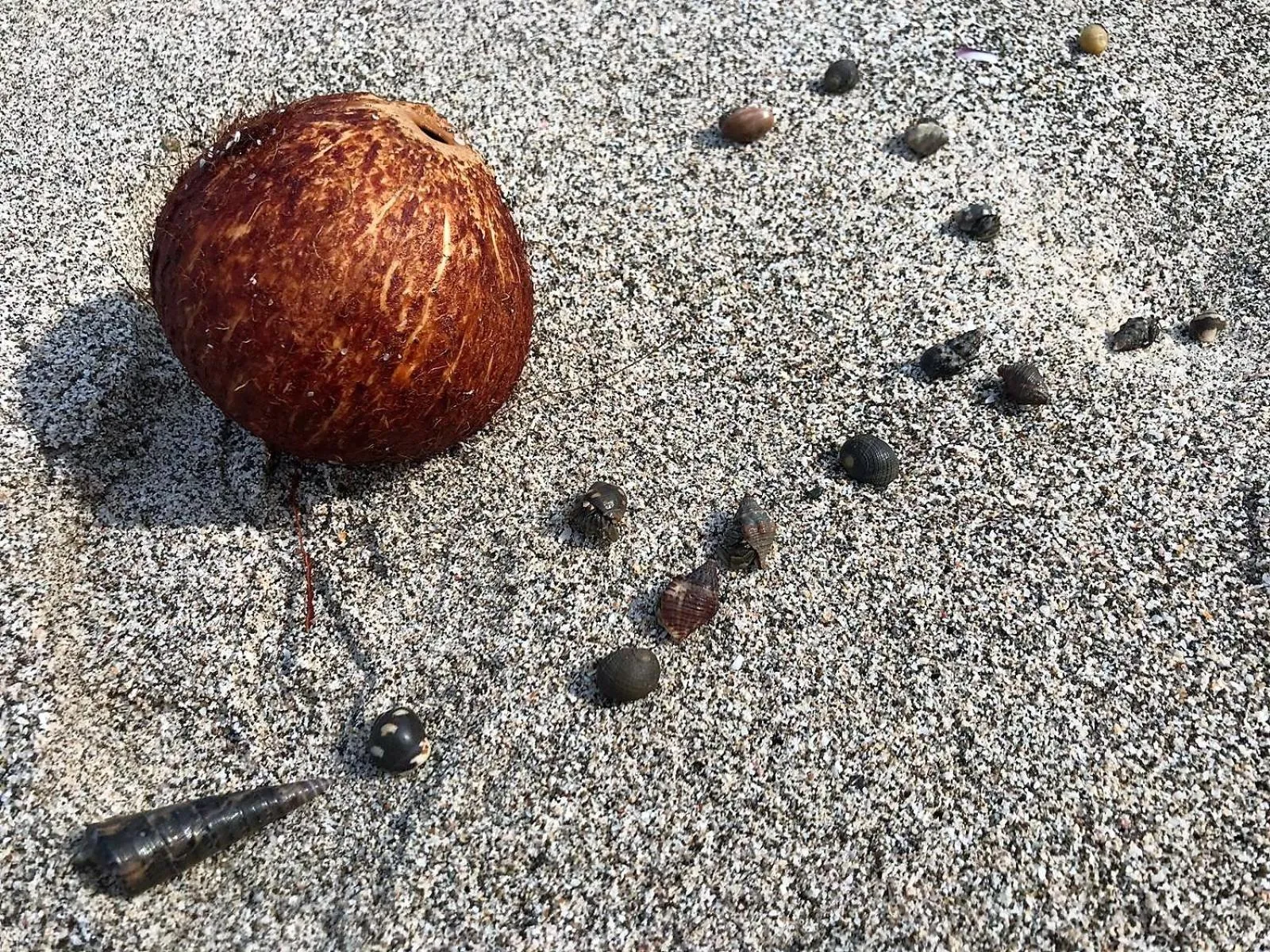 Day in Casa Cecilia Beach Front