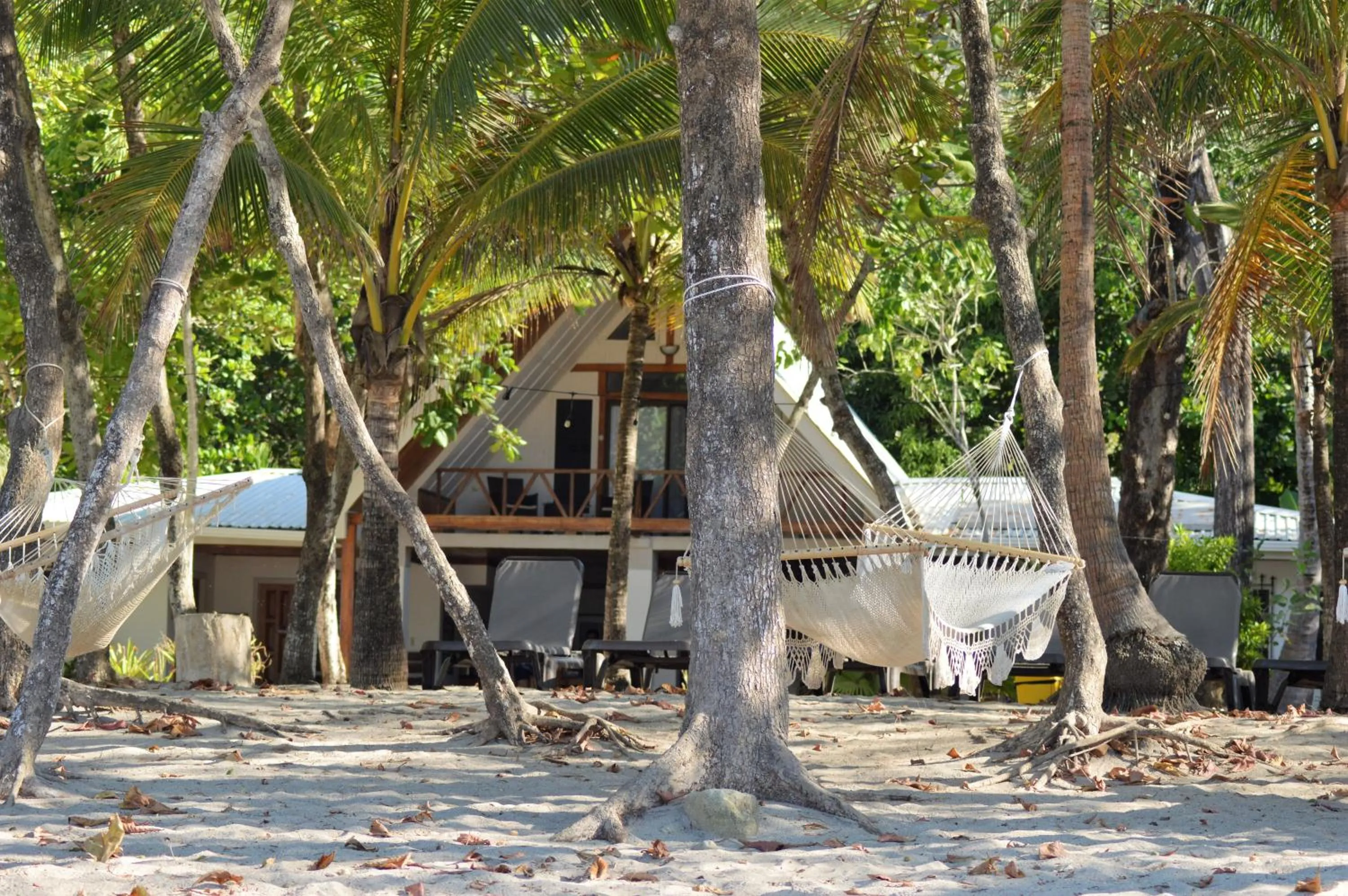 Natural landscape in Casa Cecilia Beach Front