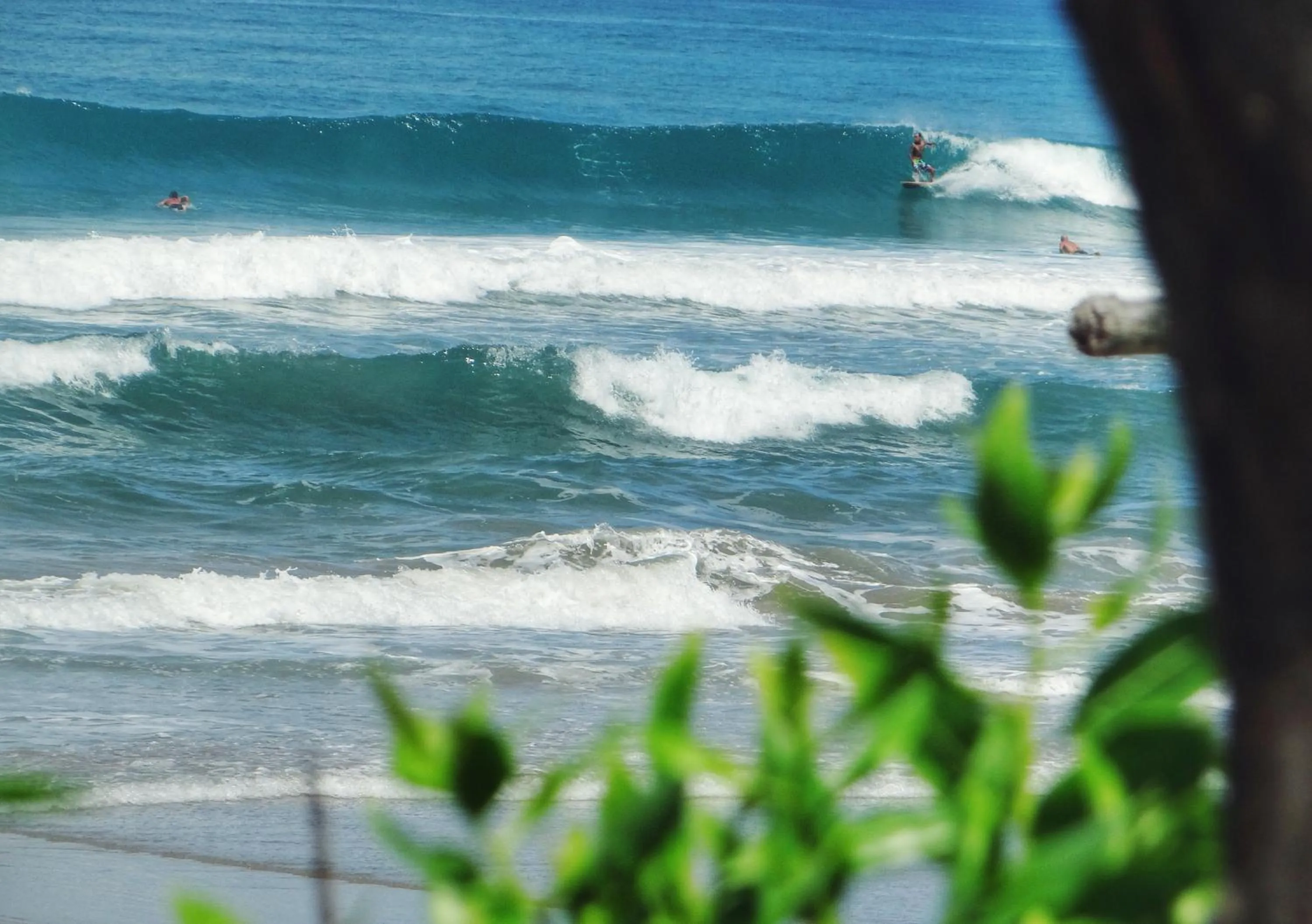 Beach in Casa Cecilia Beach Front
