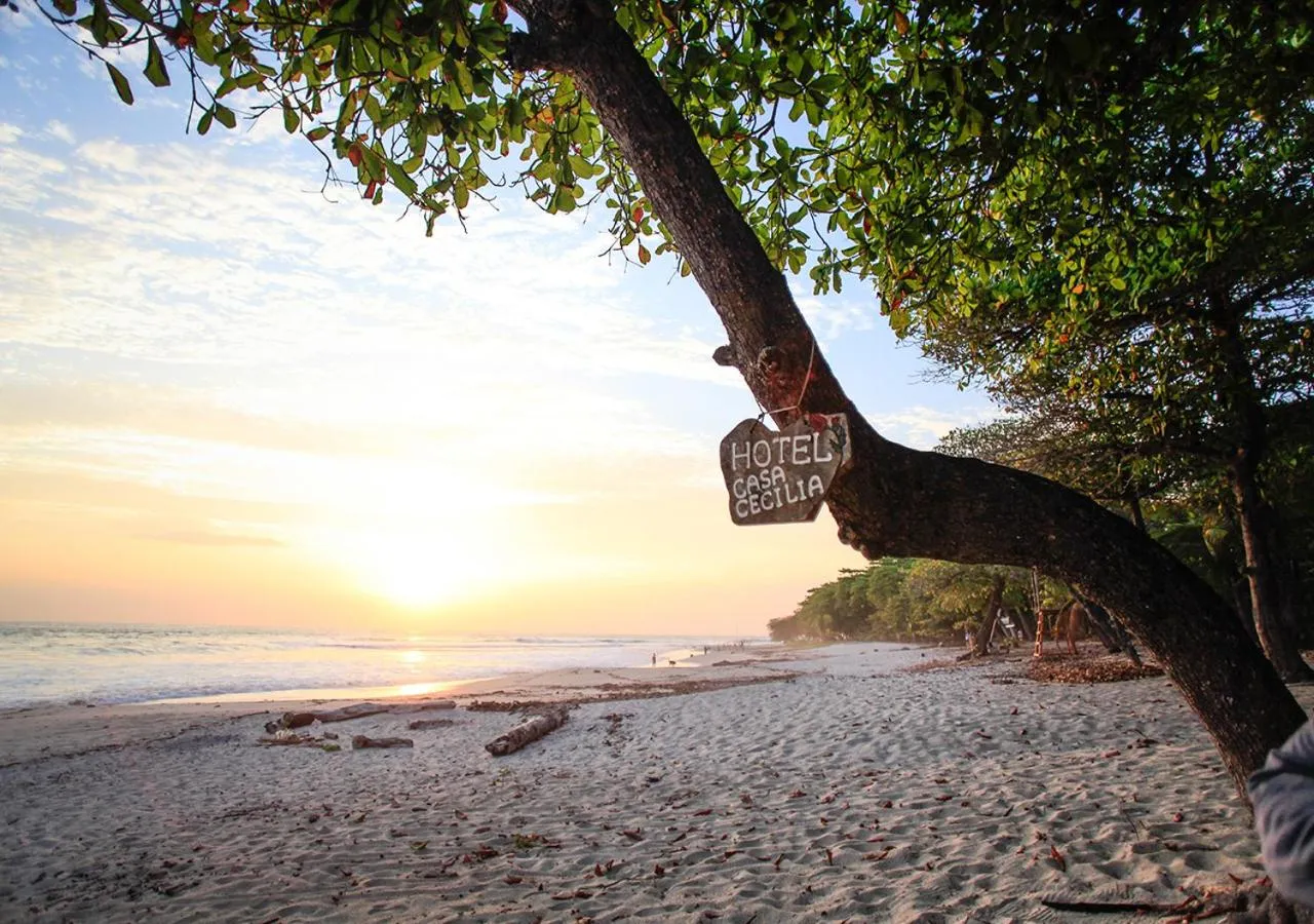 Natural landscape in Casa Cecilia Beach Front