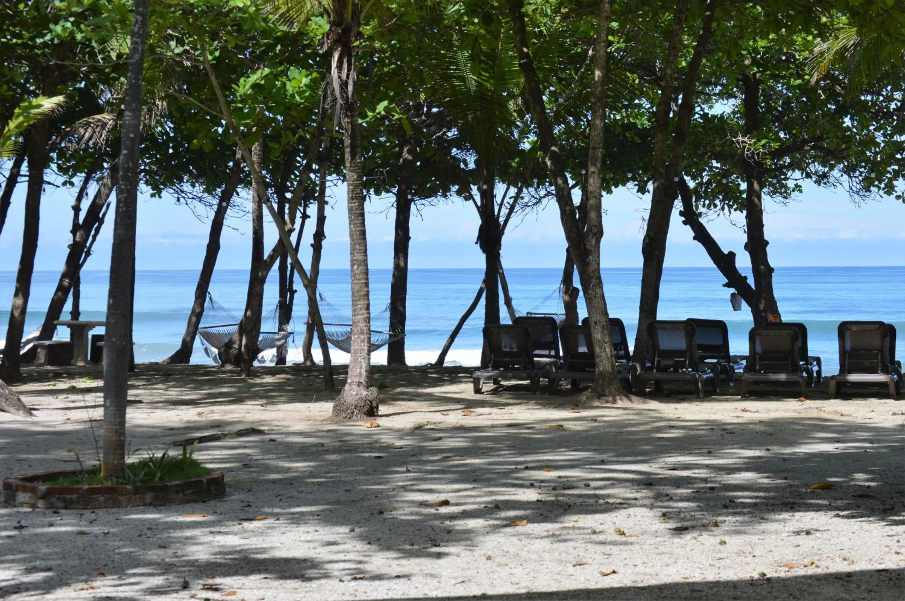 Beach in Casa Cecilia Beach Front