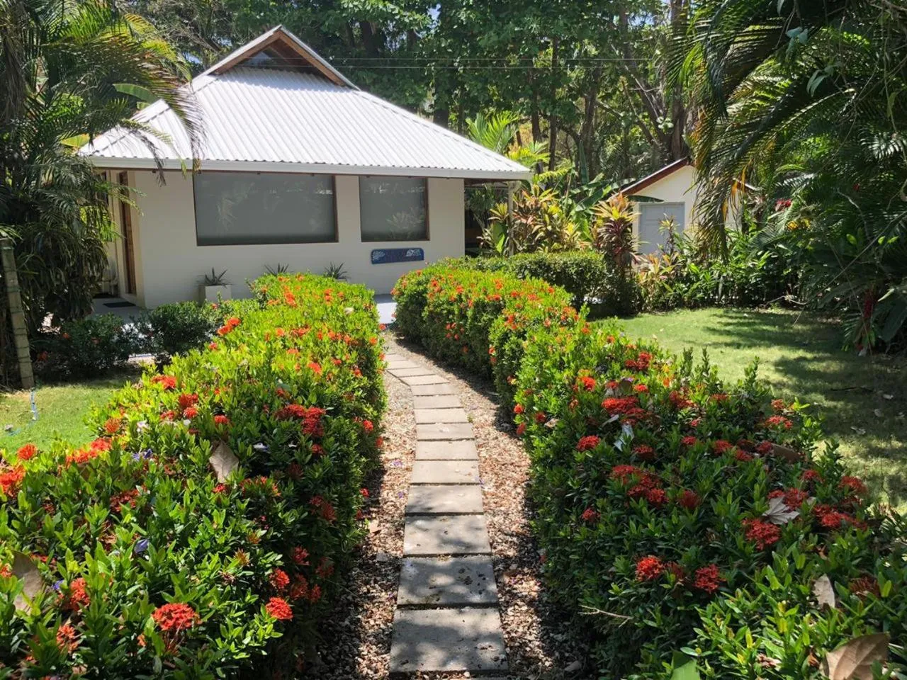 Garden view in Casa Cecilia Beach Front