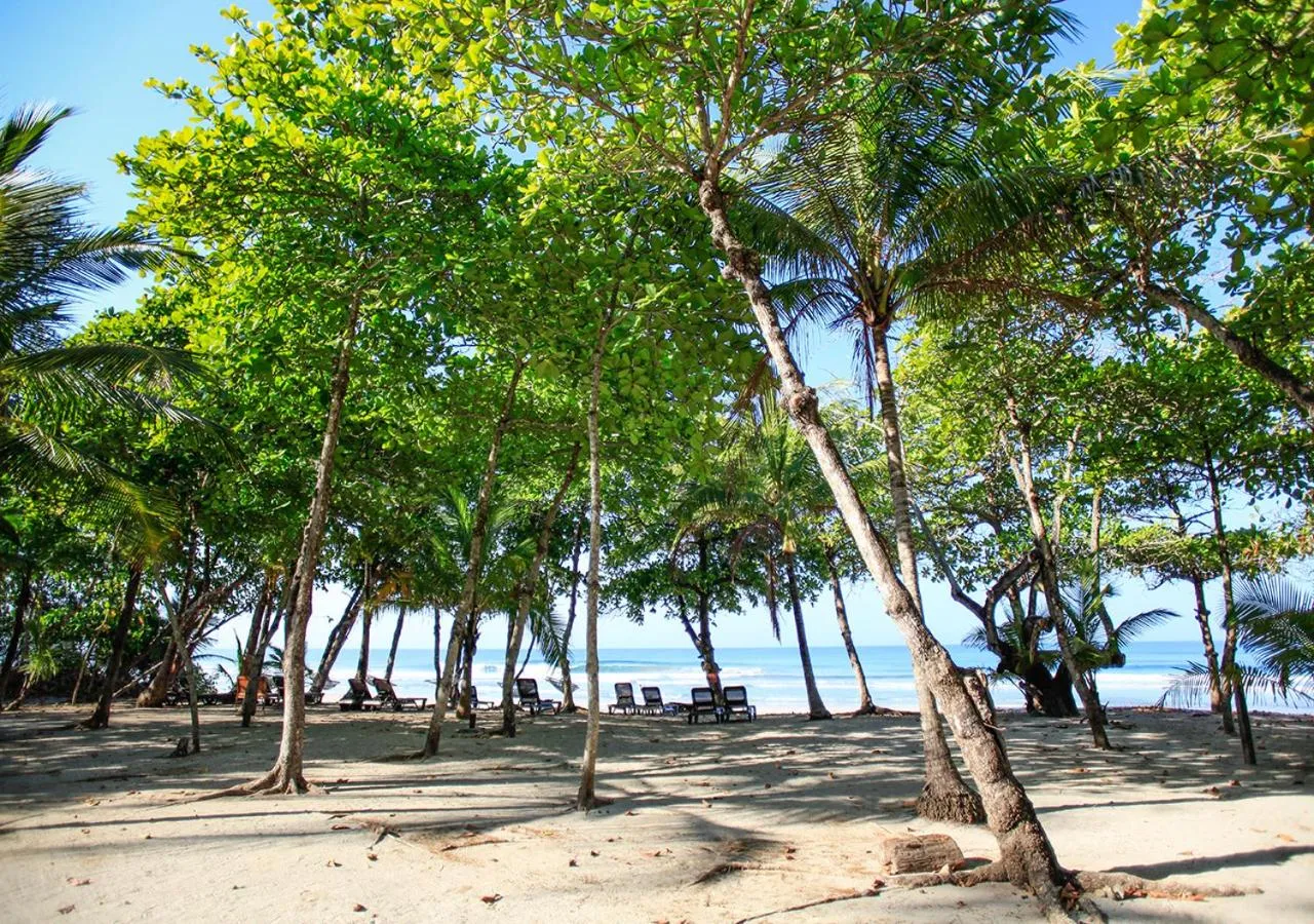 Sea view in Casa Cecilia Beach Front