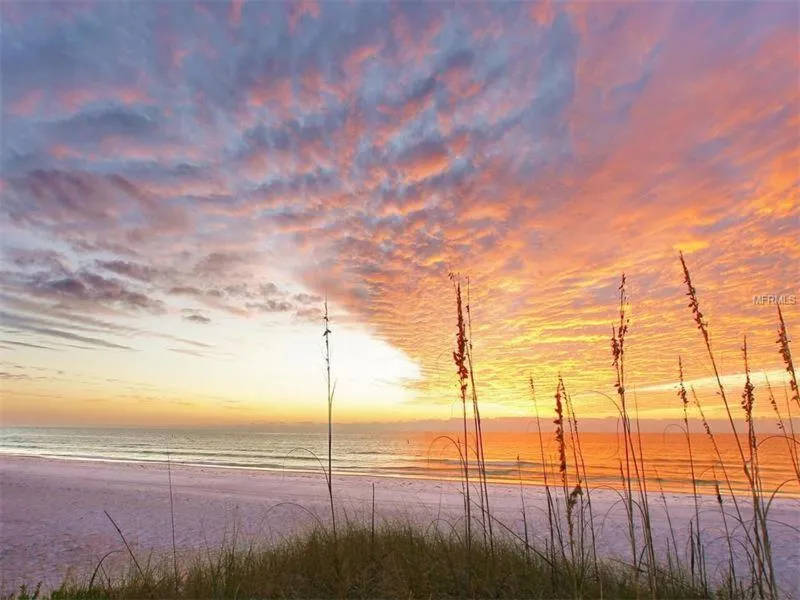 Siesta Heron Suites & Villas