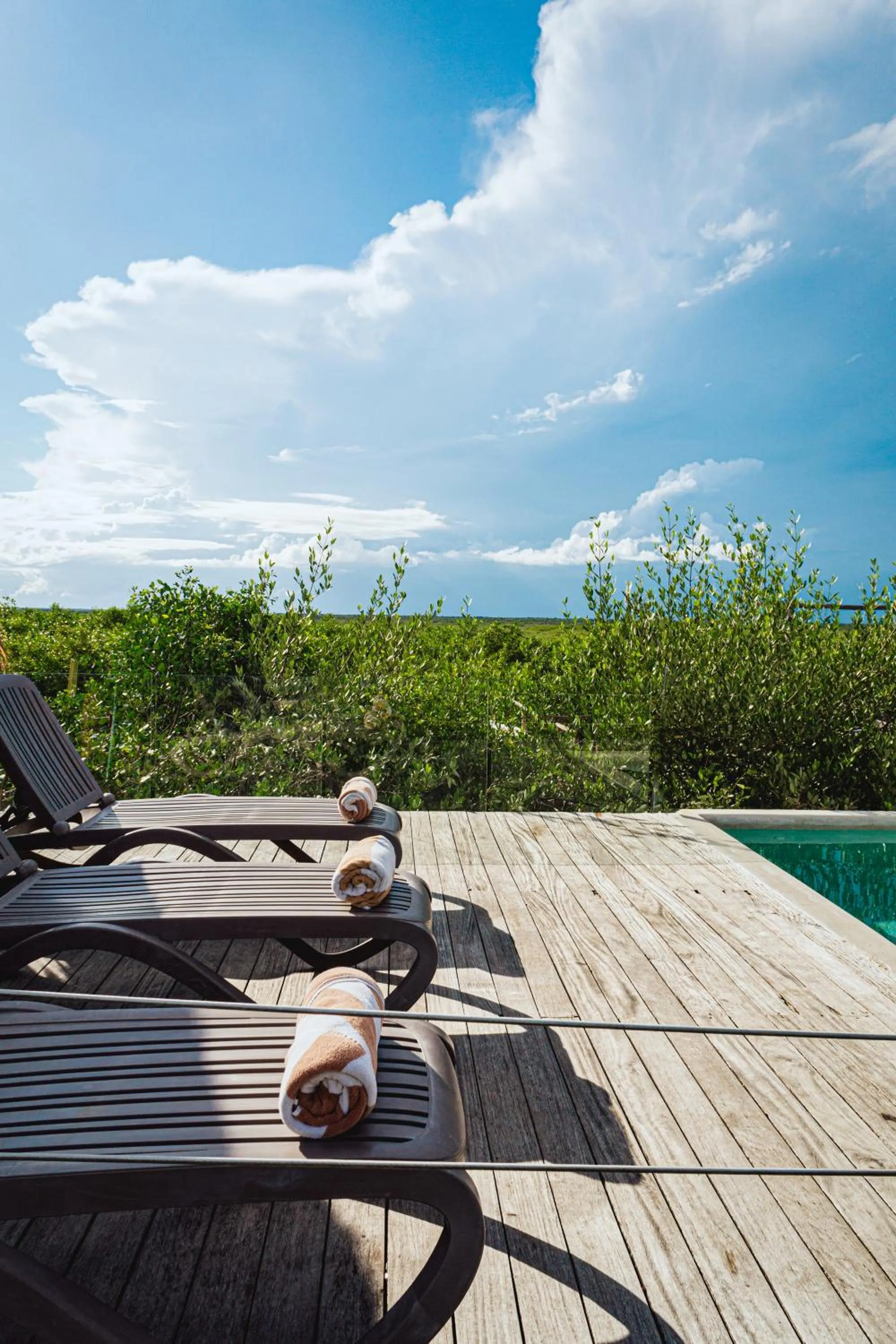 Natural landscape in Sunset House