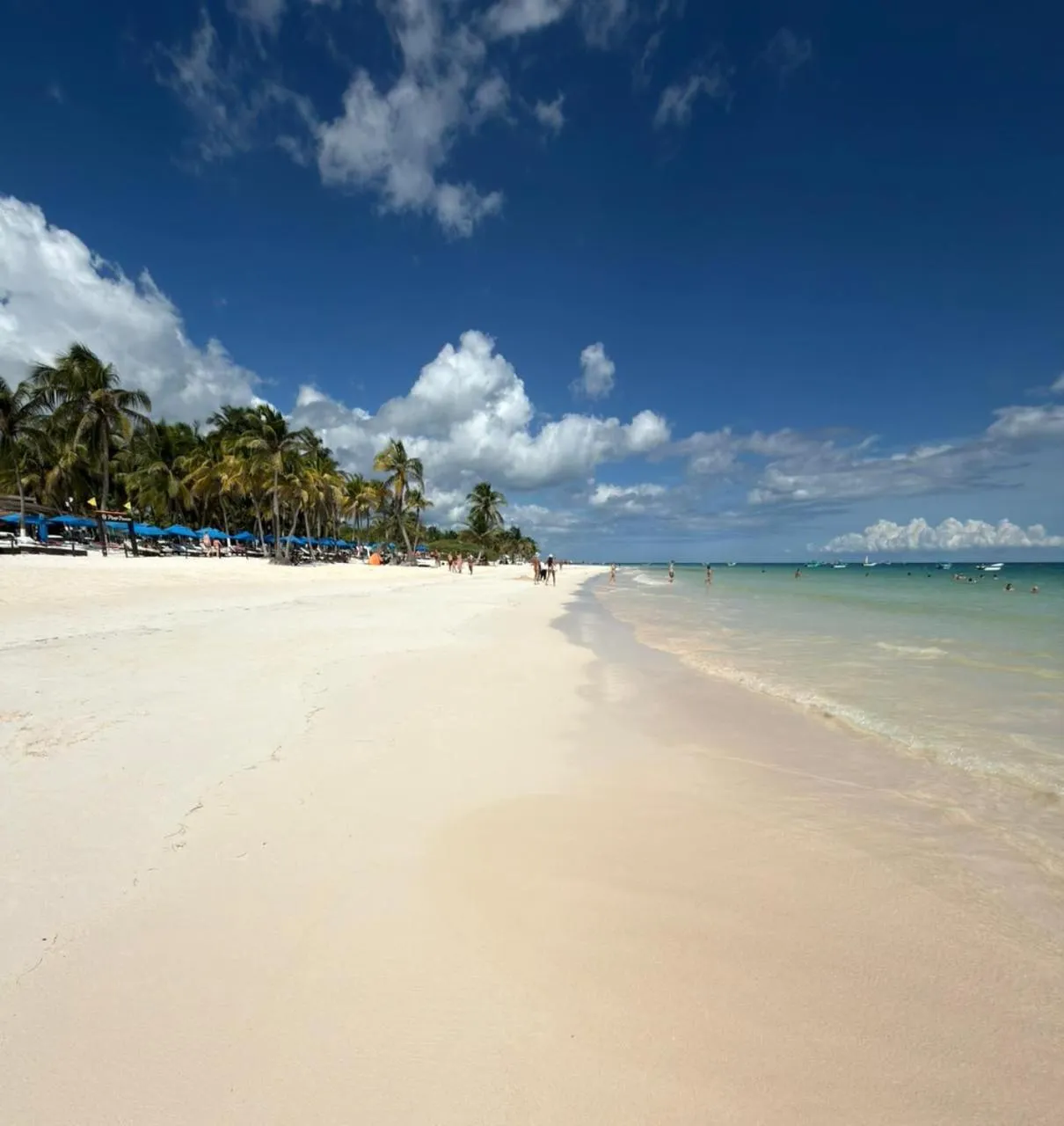 Beach in Sunset House