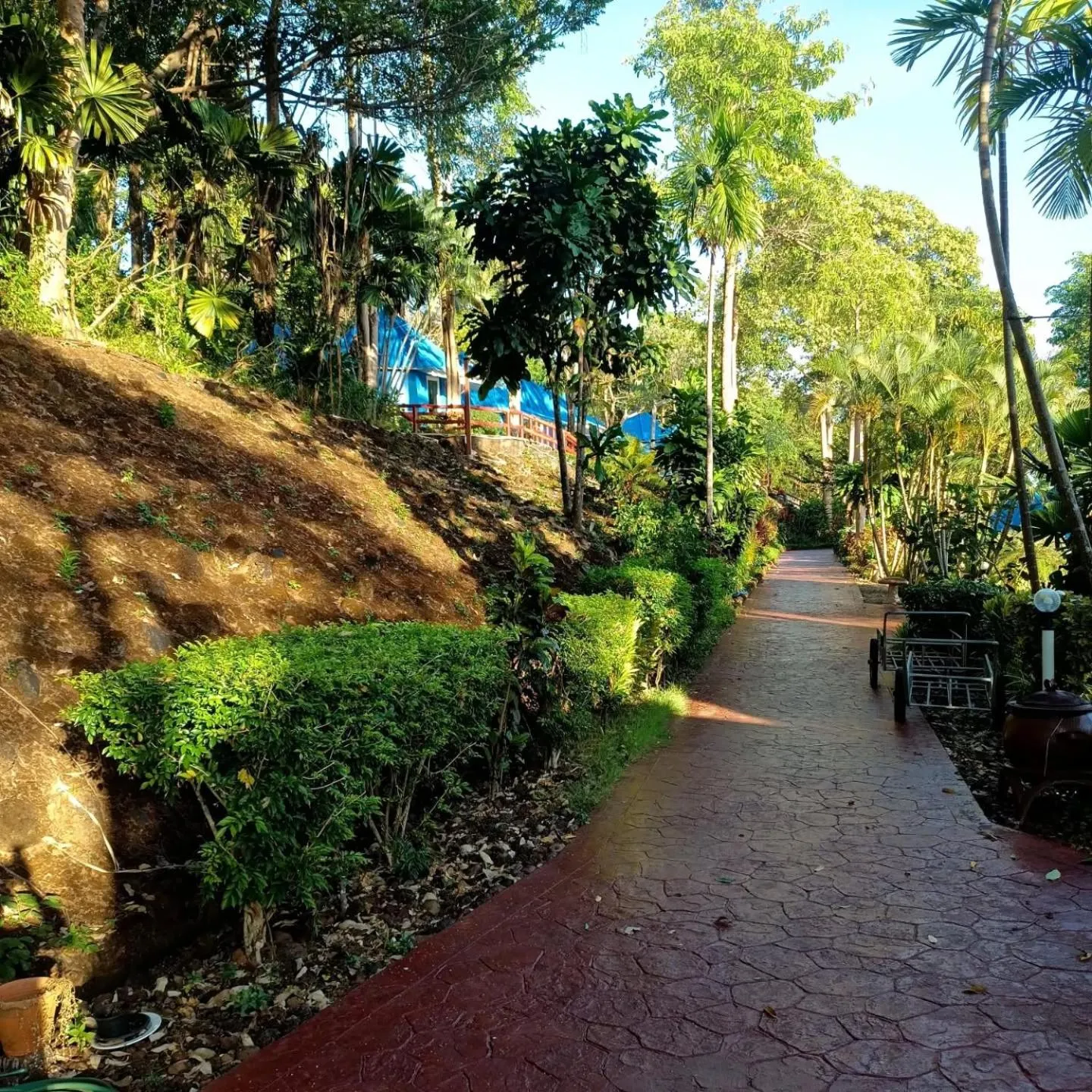 Property building in Koh Mak Buri Hut Natural Resort