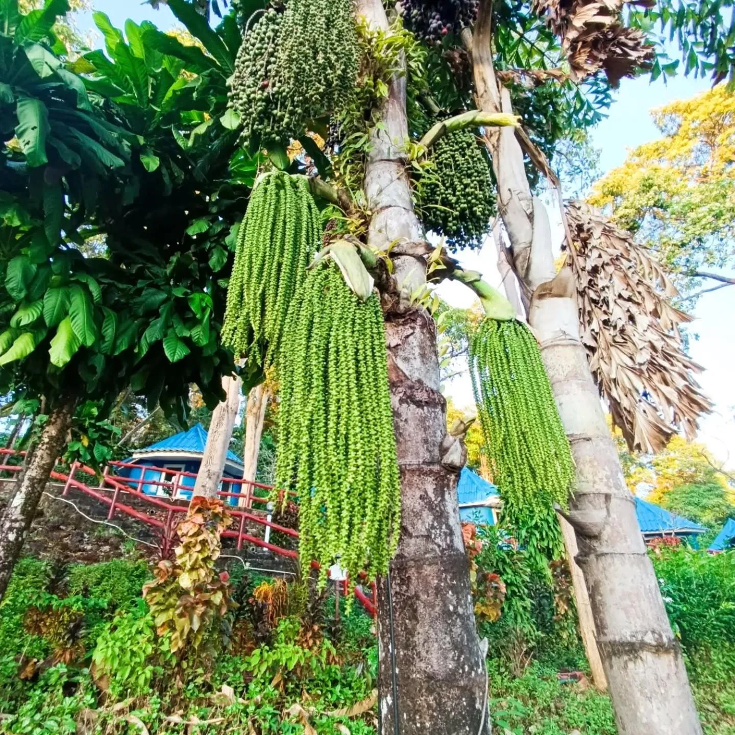 Property building in Koh Mak Buri Hut Natural Resort