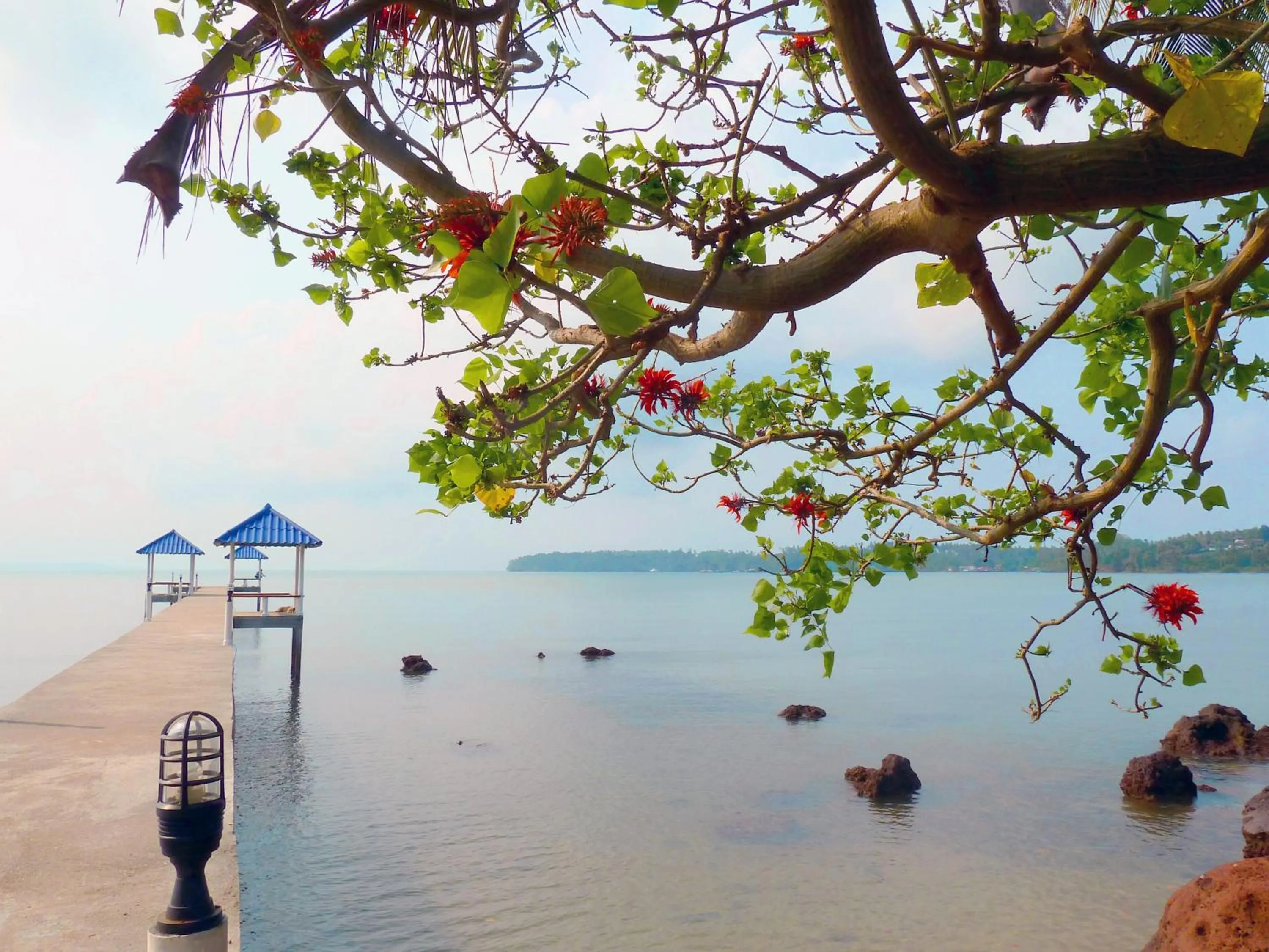 Natural landscape in Koh Mak Buri Hut Natural Resort
