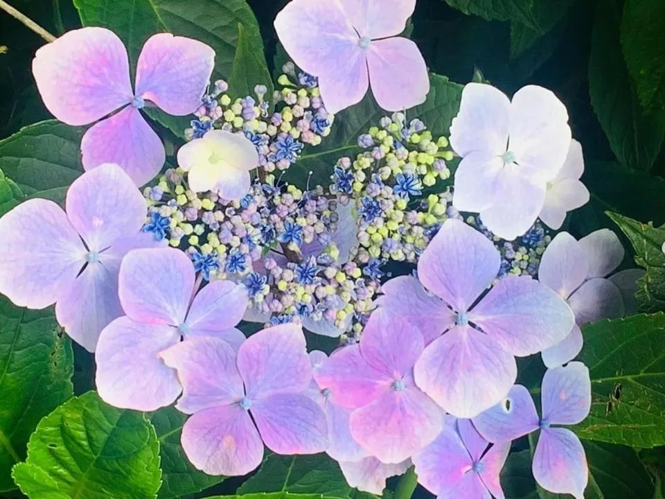 Torrs Warren Country House Hotel