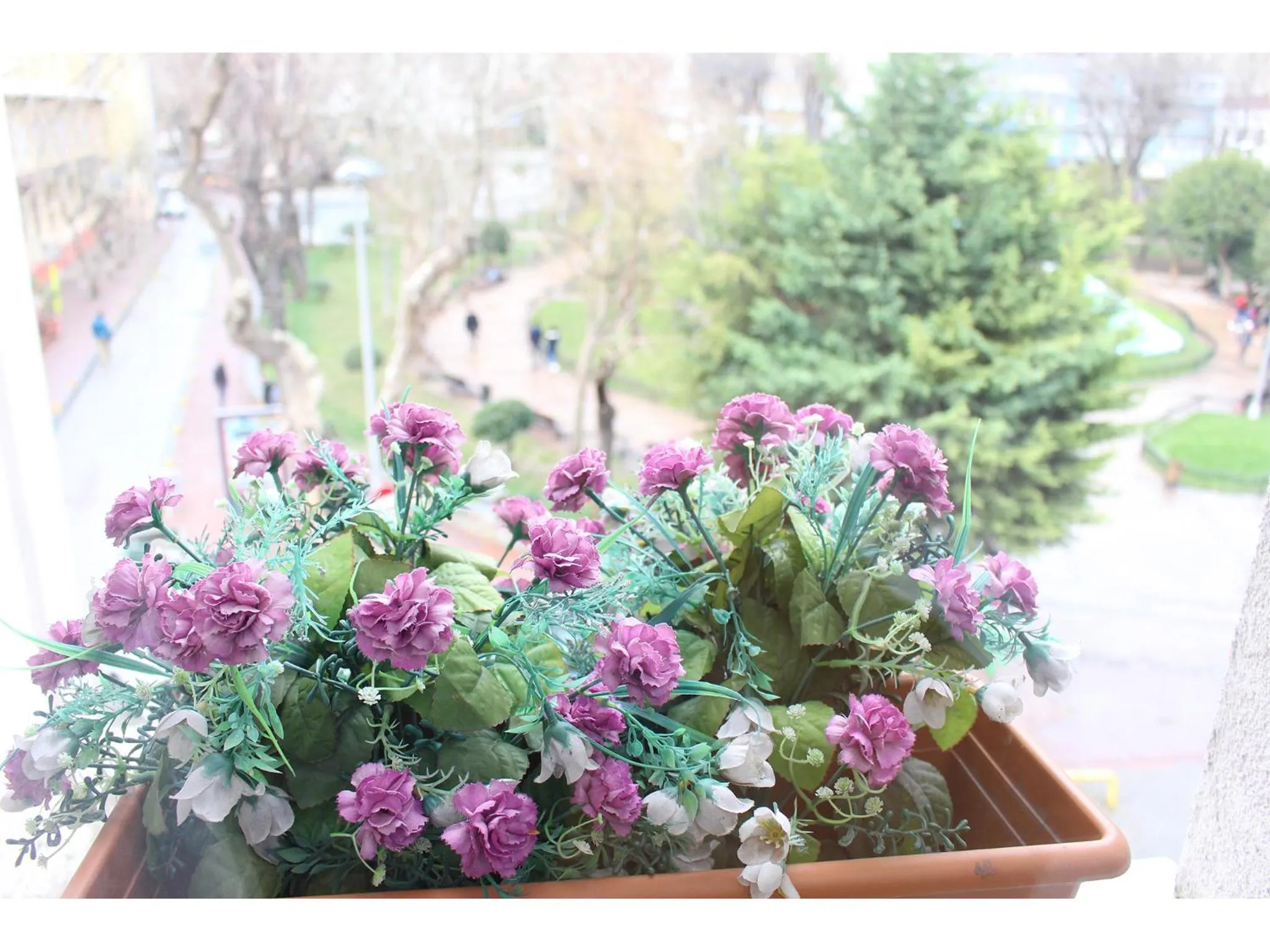 City view in Sultans Hotel