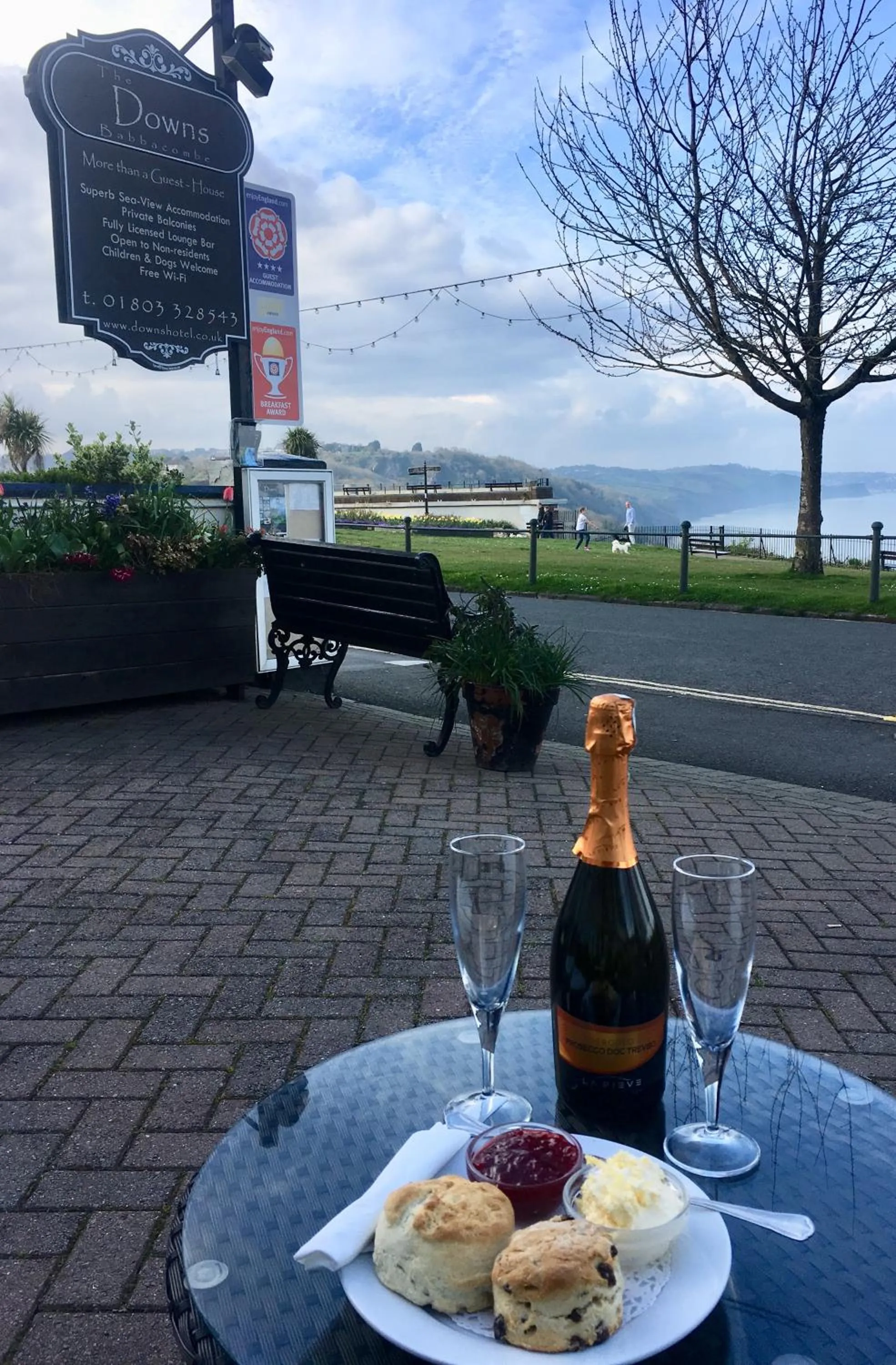 Drinks in The Downs, Babbacombe