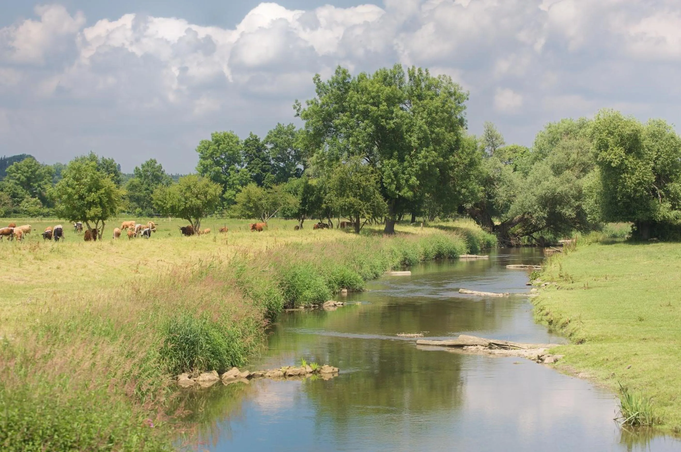 Day in Hotel Kloster Holzen