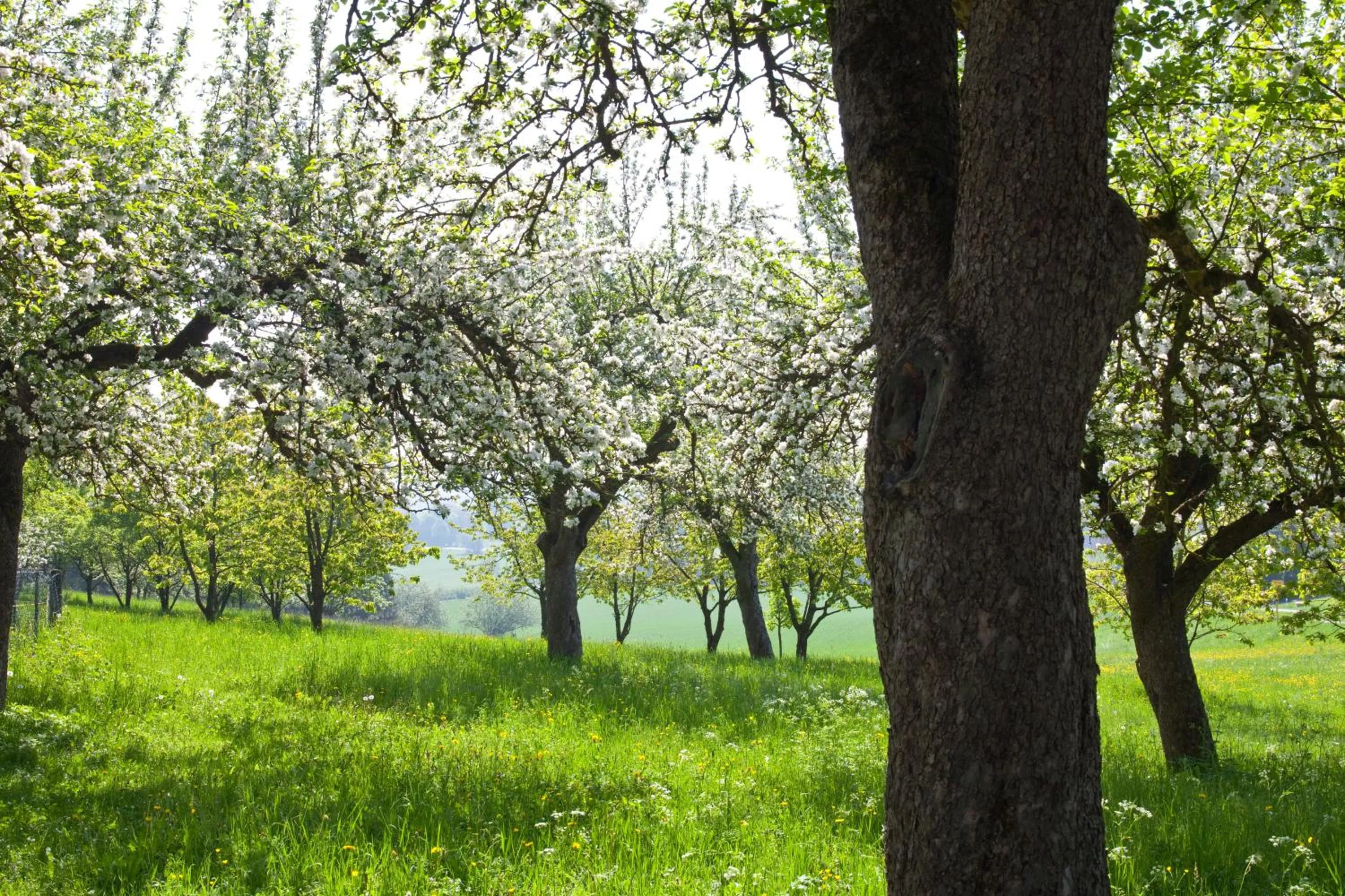 Day in Hotel Kloster Holzen
