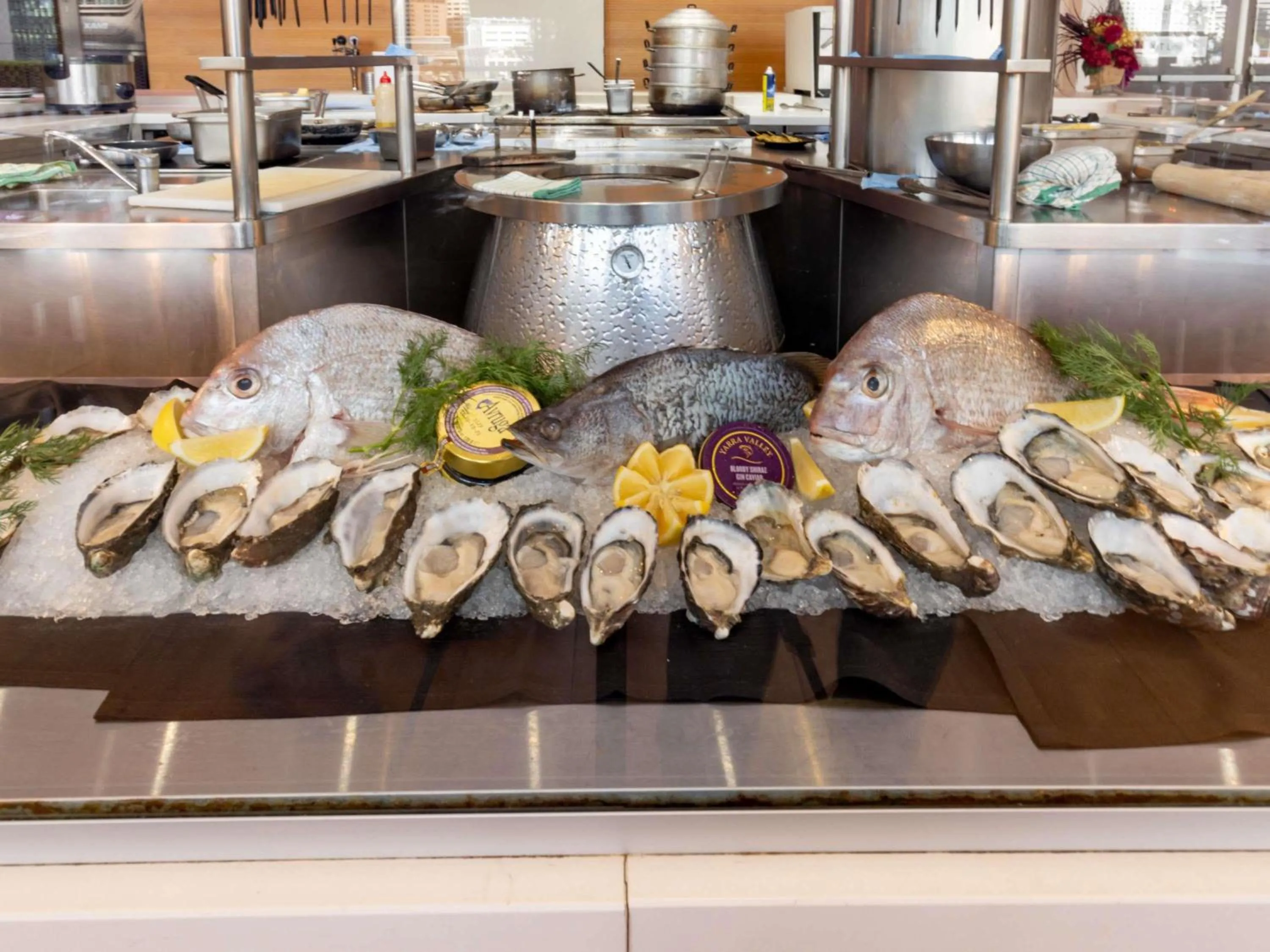 Restaurant/places to eat in Novotel Sydney Darling Harbour