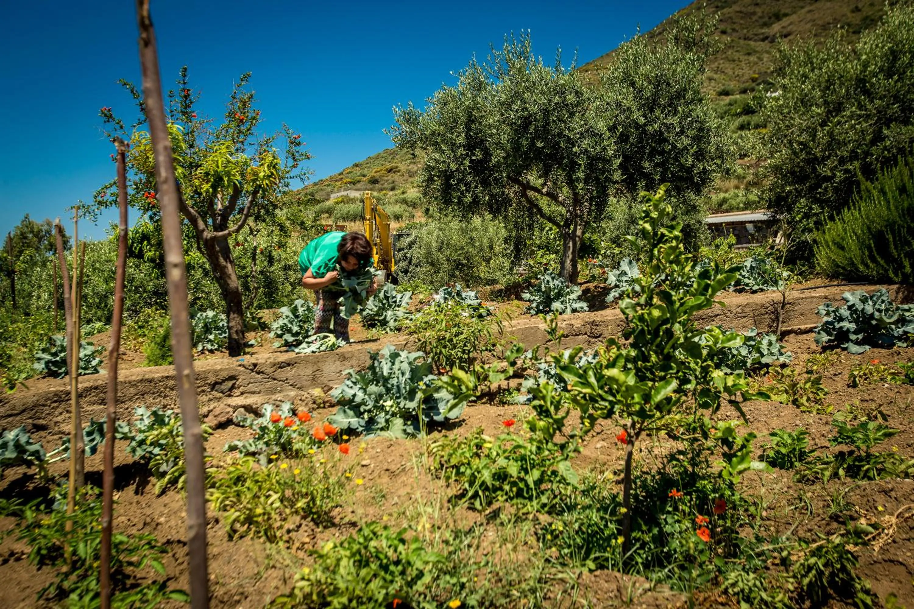 View (from property/room) in Resort Al Belvedere Salina