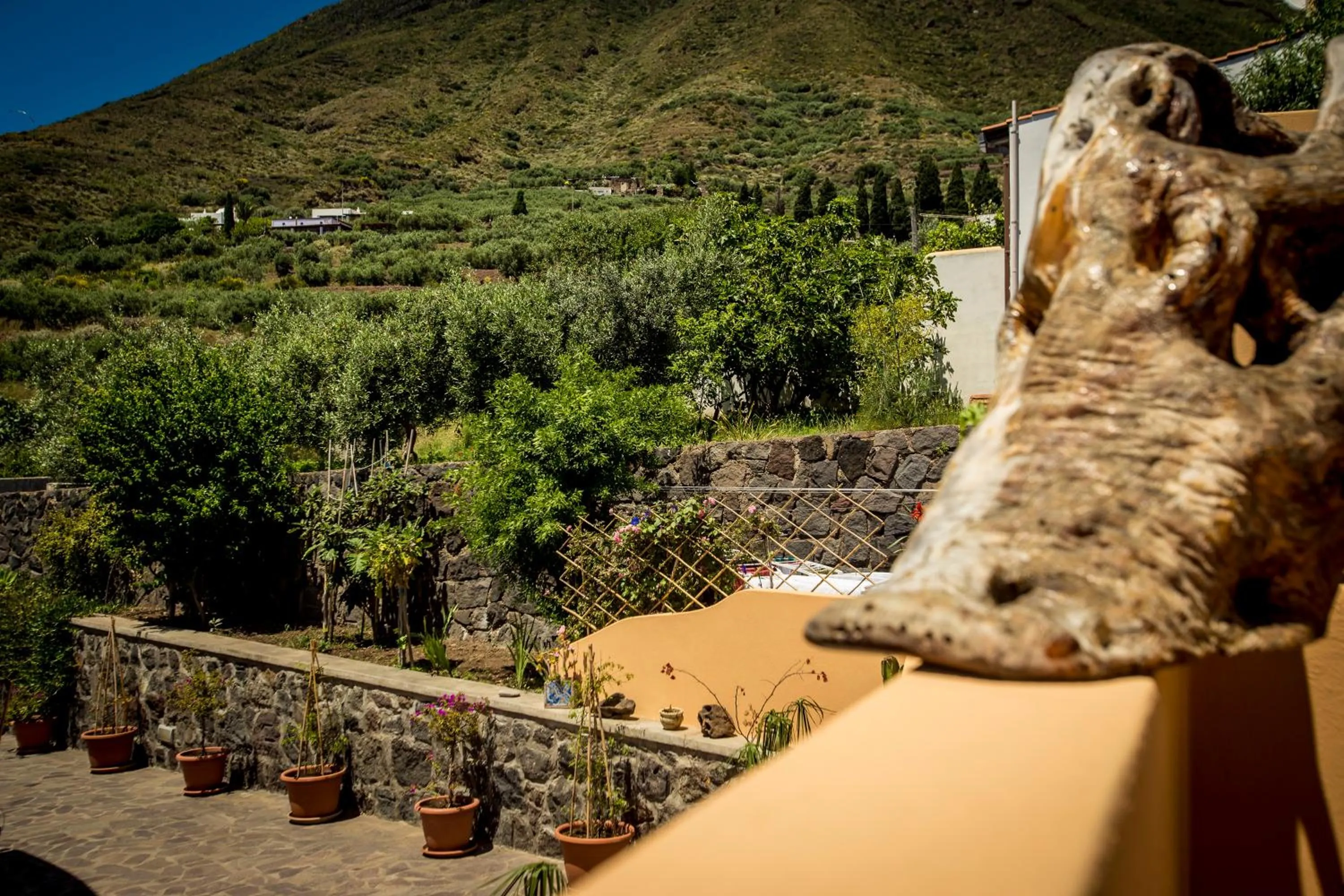 Garden in Resort Al Belvedere Salina