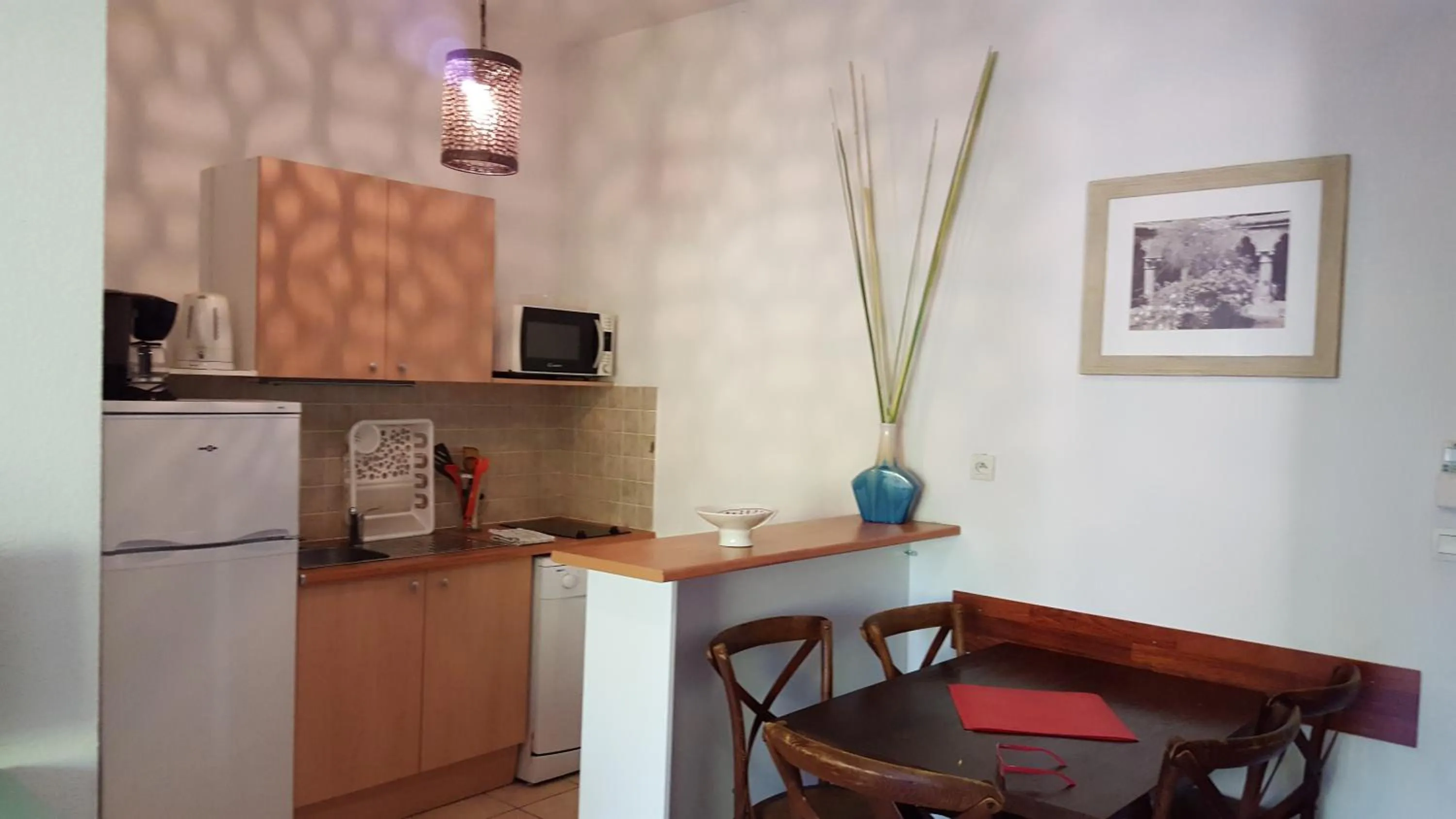 Kitchen or kitchenette in UZES APPART HOTEL Résidence Le Mas des Oliviers