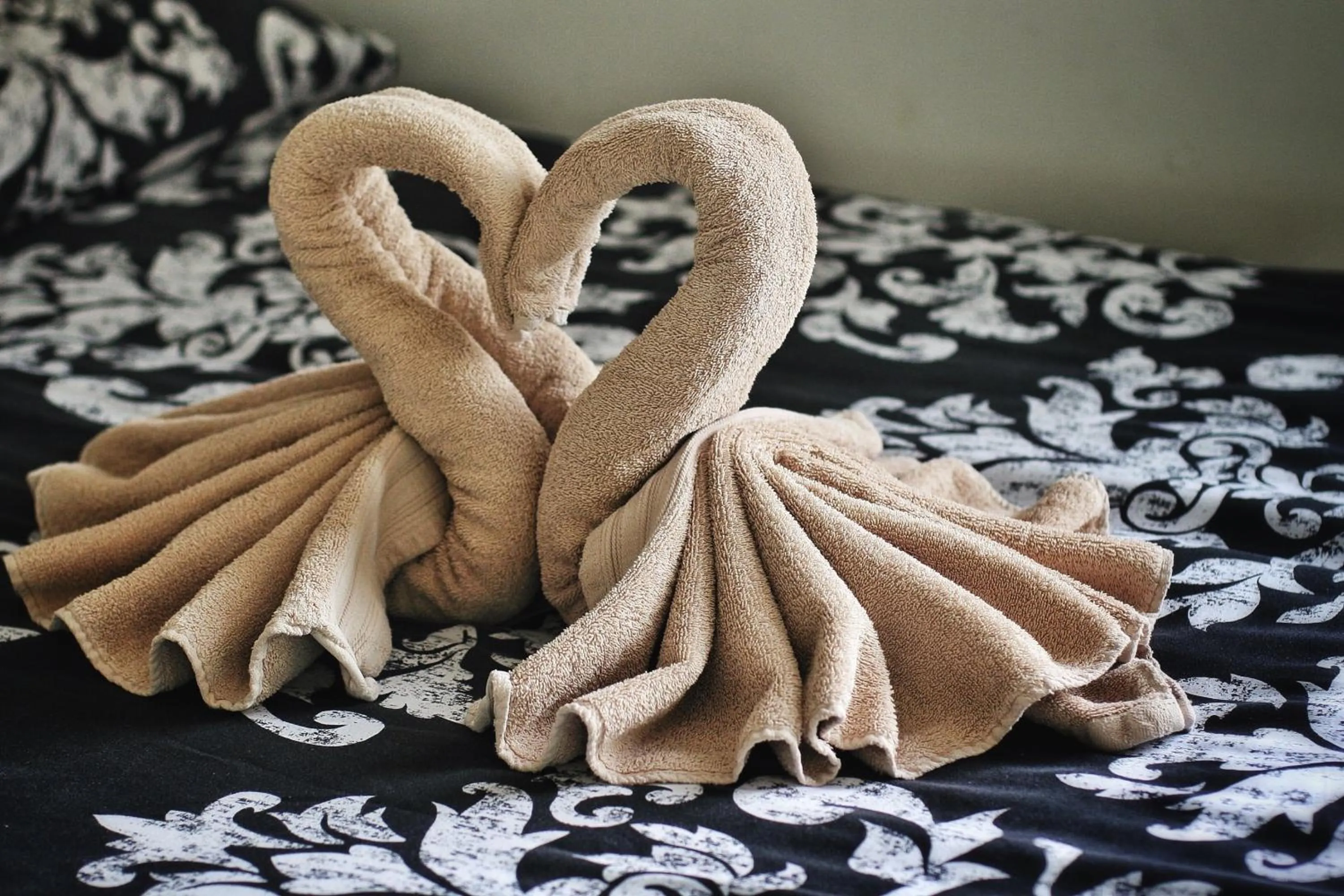 Other in Beaconsfield Hotel