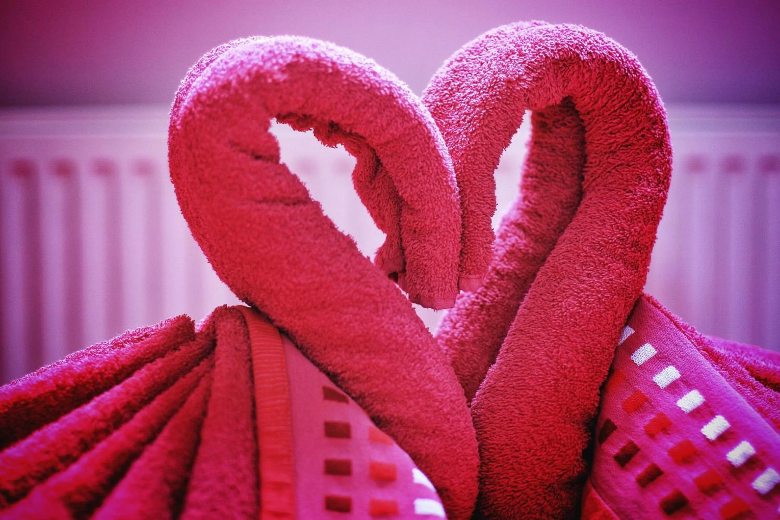 Other in Beaconsfield Hotel